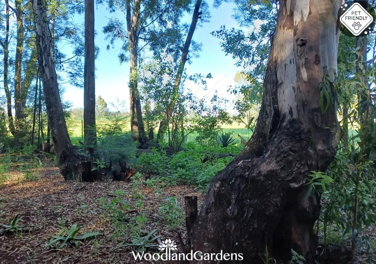 Garden in Woodland Gardens Self catering Pet Friendly Lodge