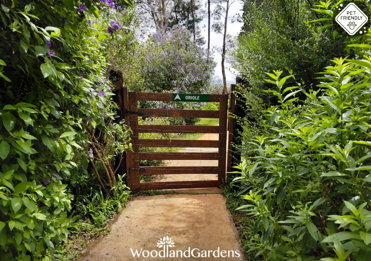 Garden in Woodland Gardens Self catering Pet Friendly Lodge