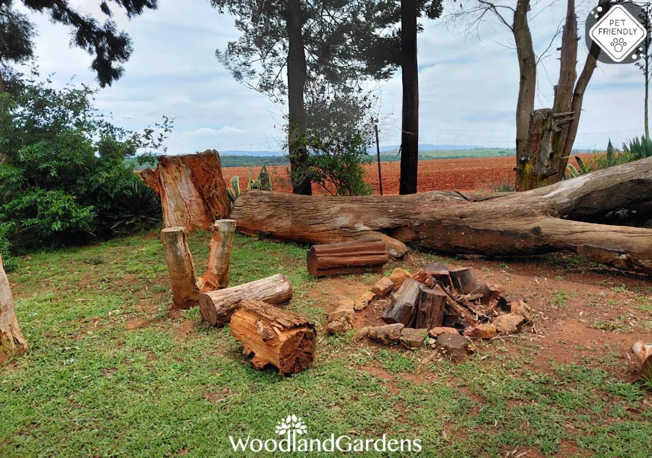 Natural landscape in Woodland Gardens Self catering Pet Friendly Lodge