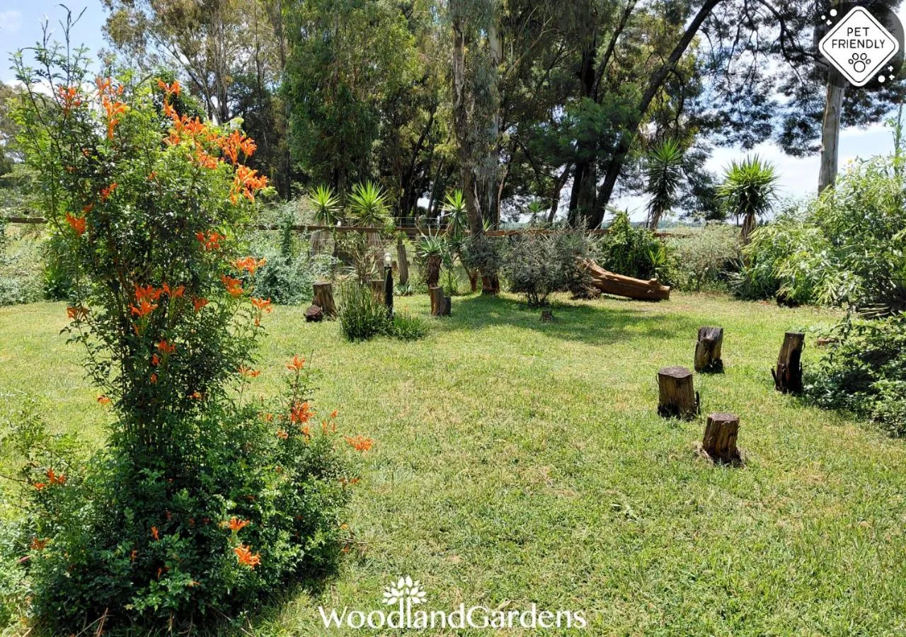 Garden in Woodland Gardens Self catering Pet Friendly Lodge