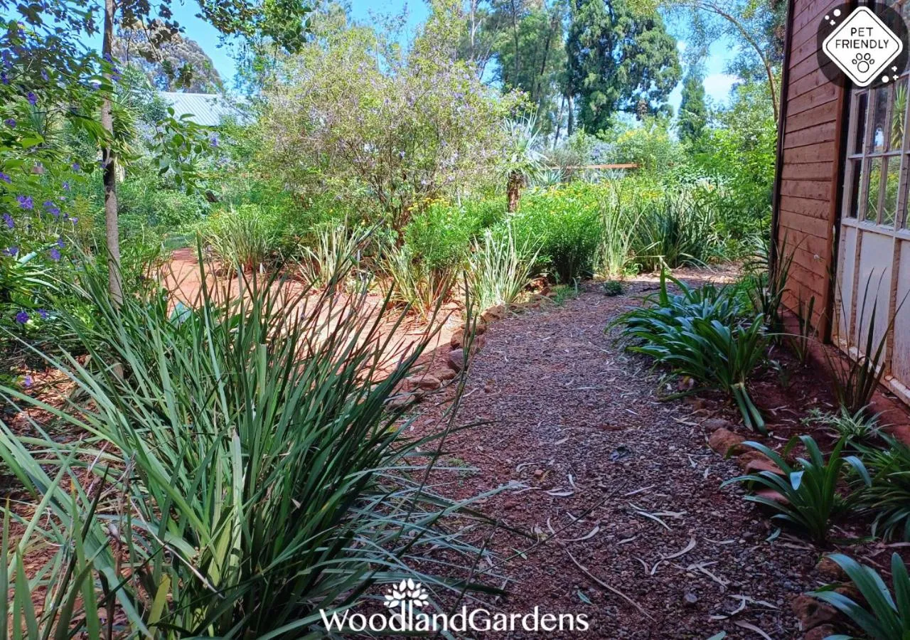 Garden in Woodland Gardens Self catering Pet Friendly Lodge