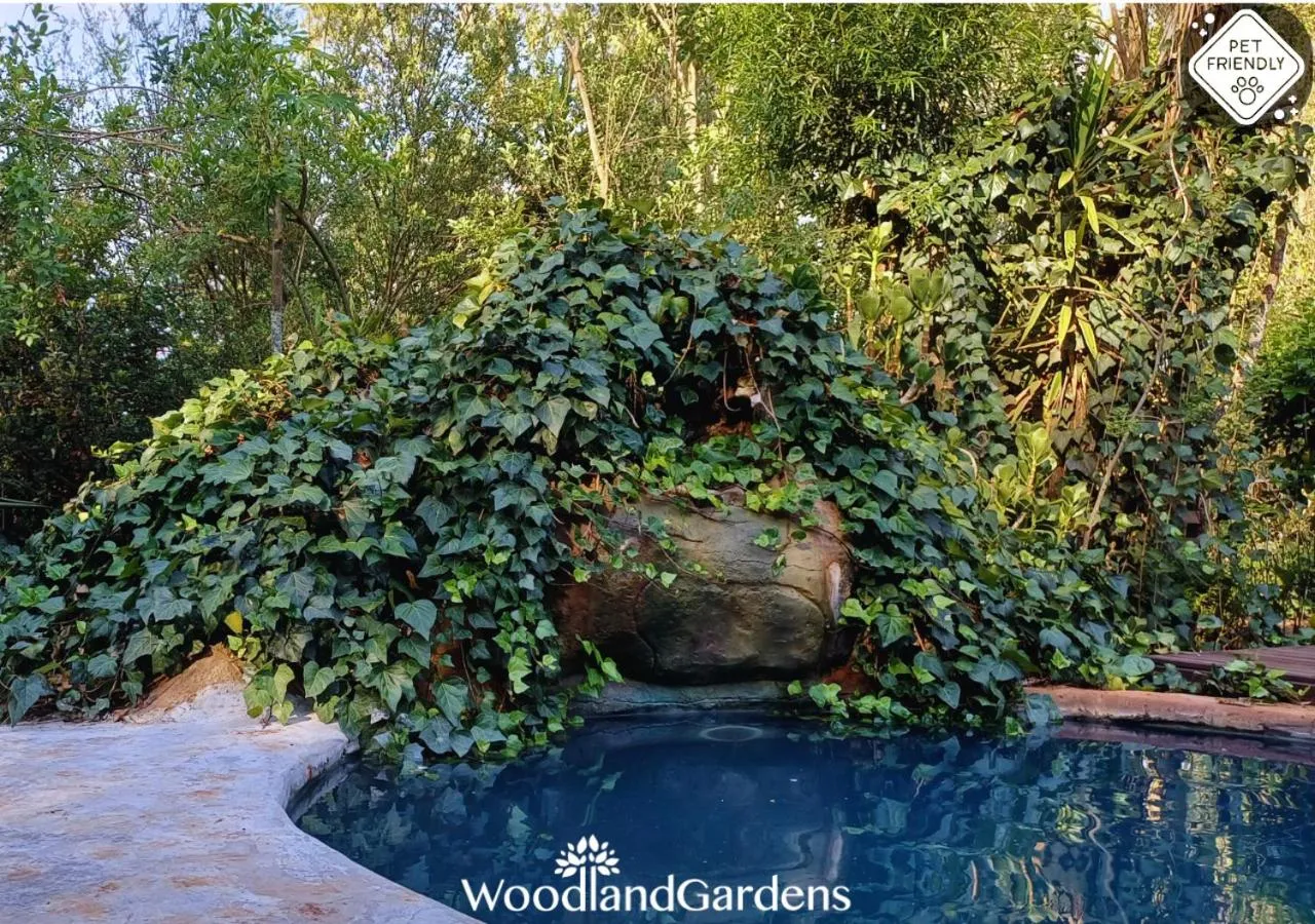 Swimming pool in Woodland Gardens Self catering Pet Friendly Lodge