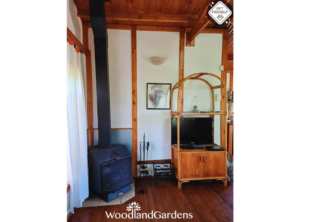 TV and multimedia in Woodland Gardens Self catering Pet Friendly Lodge