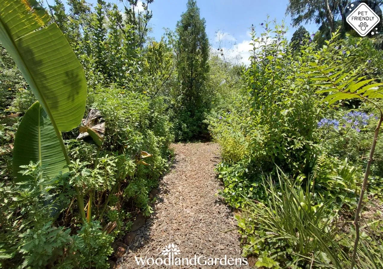 Garden in Woodland Gardens Self catering Pet Friendly Lodge