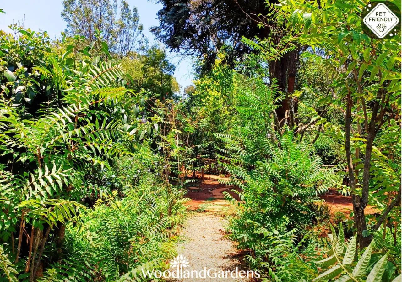 Garden in Woodland Gardens Self catering Pet Friendly Lodge