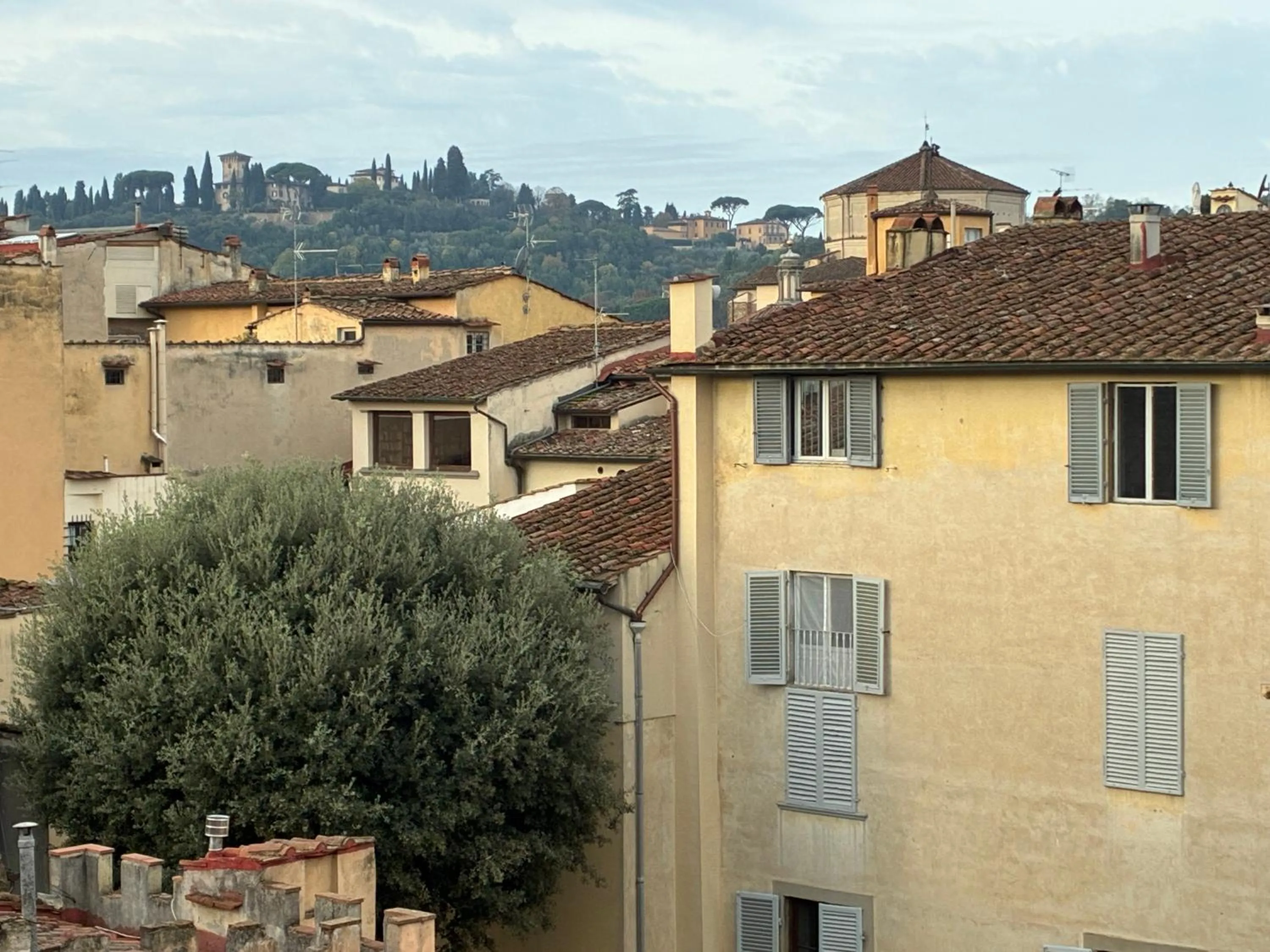 View (from property/room) in Palazzo Mannaioni Suites