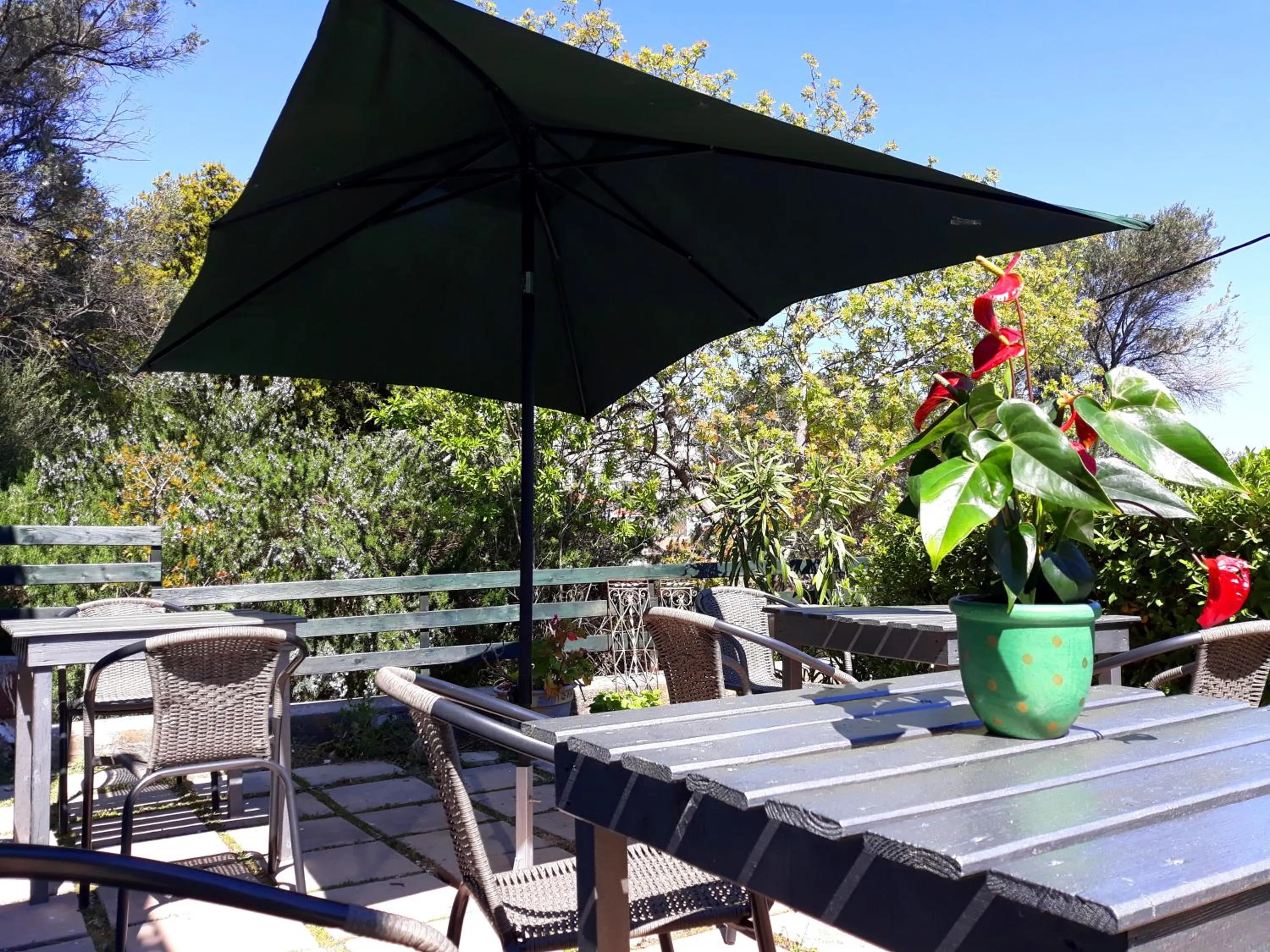 Garden in Point Twins Apartments