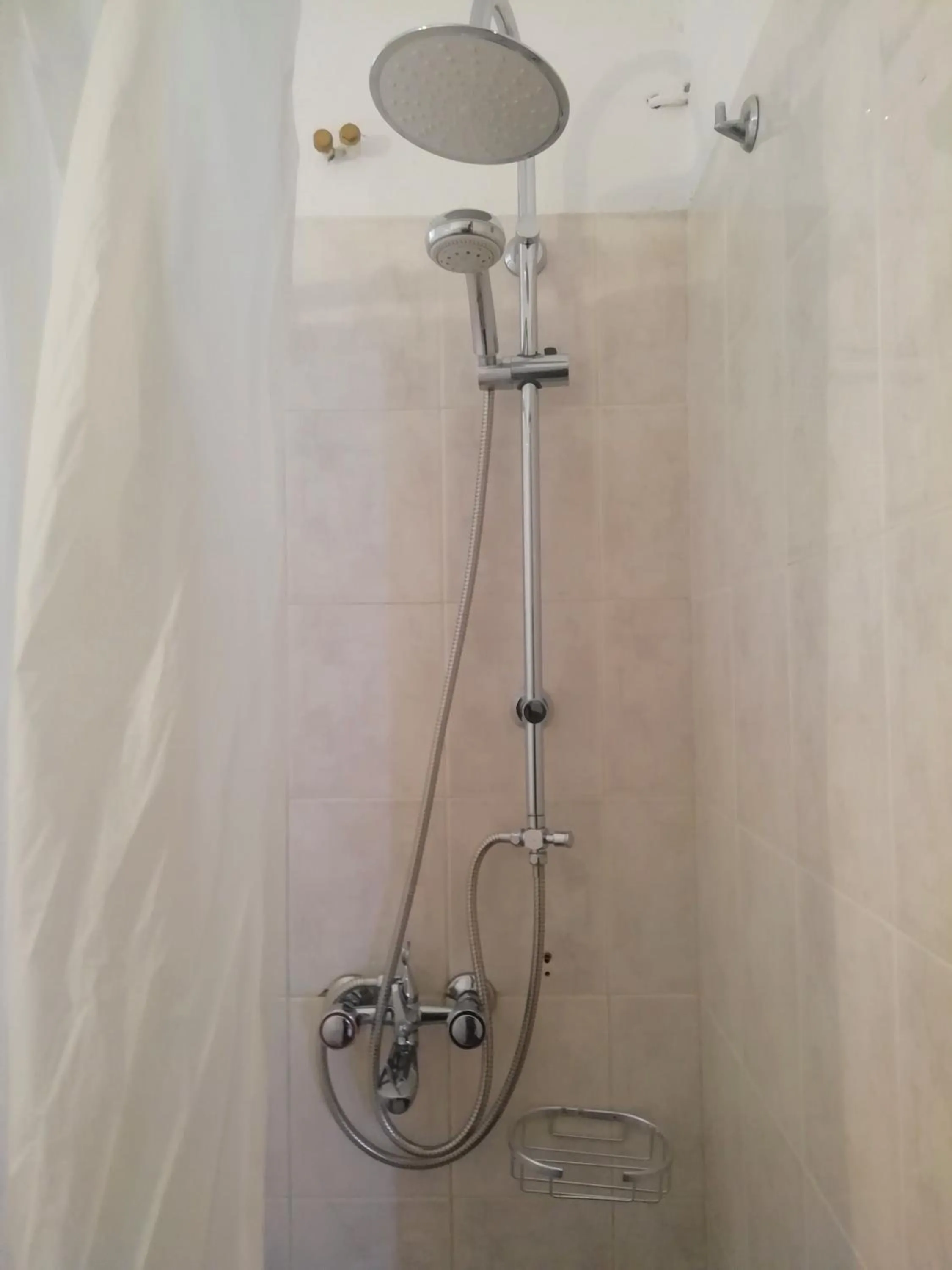 Shower in Point Twins Apartments