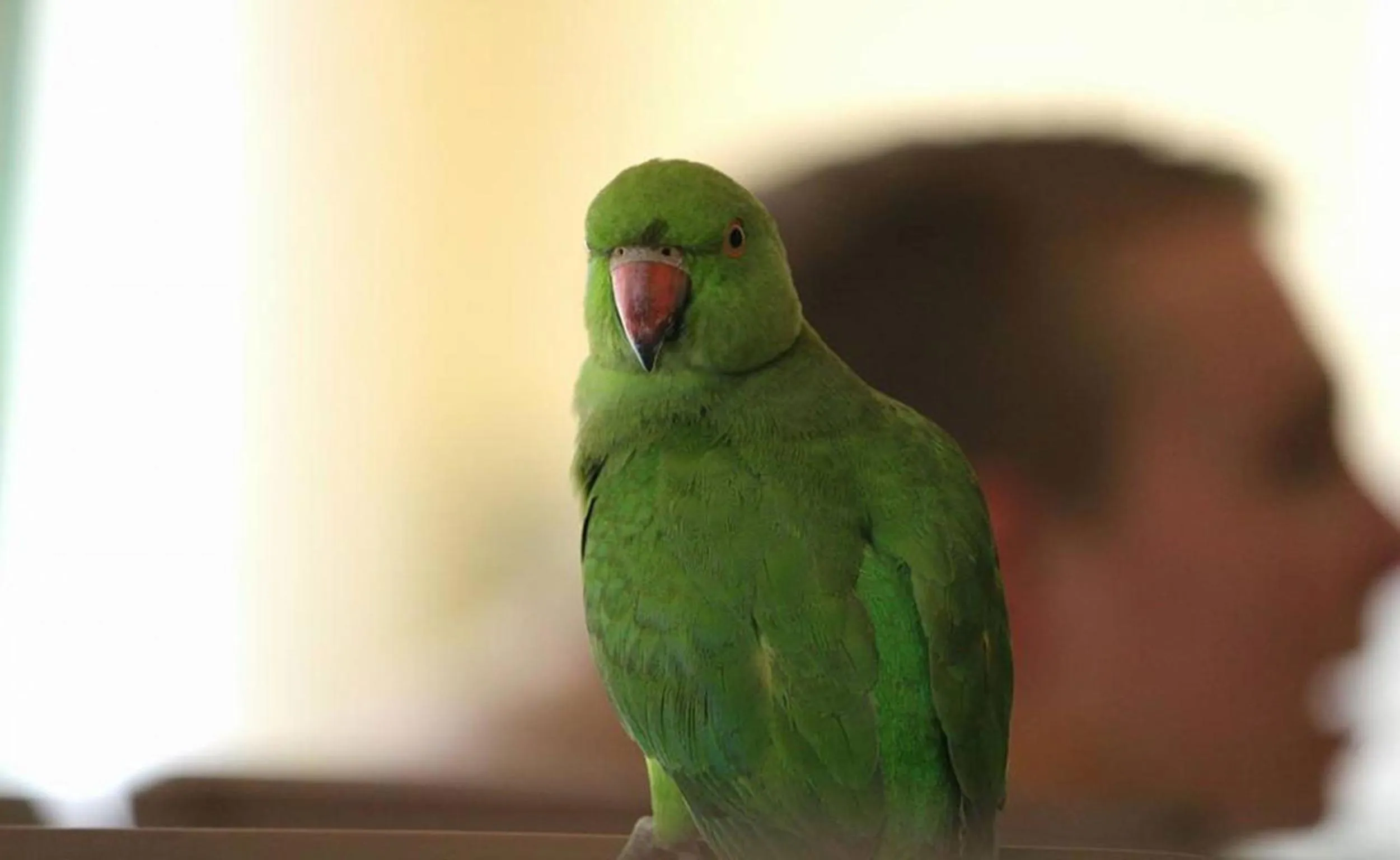 Property building in Ziegler Cottage