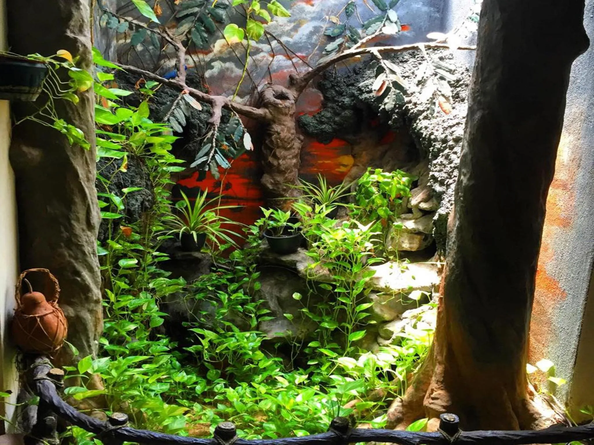 Natural landscape in Ziegler Cottage