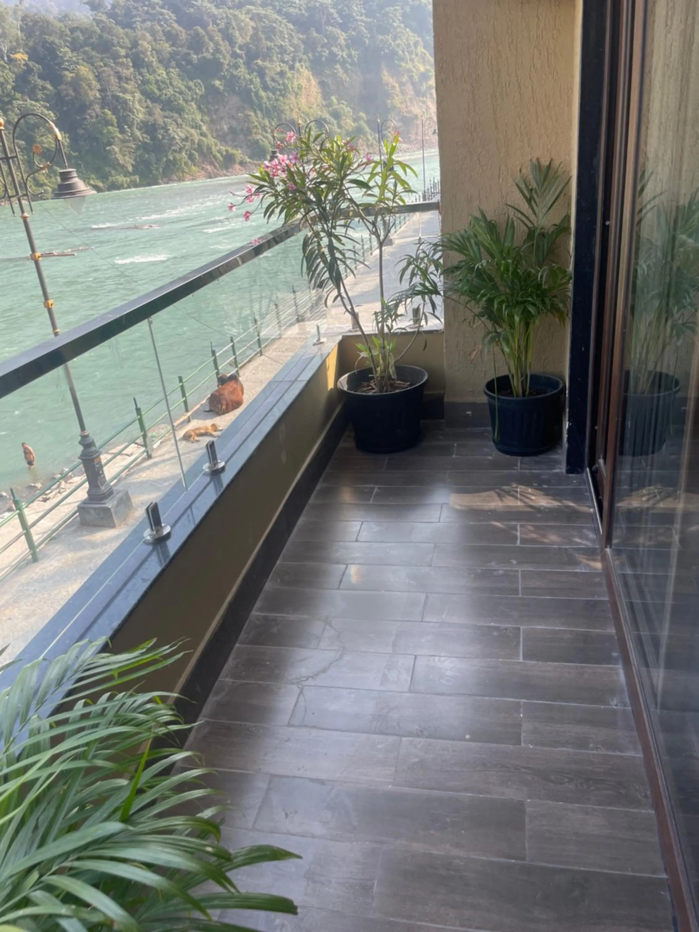 Natural landscape in Maayaa inn by Ganges