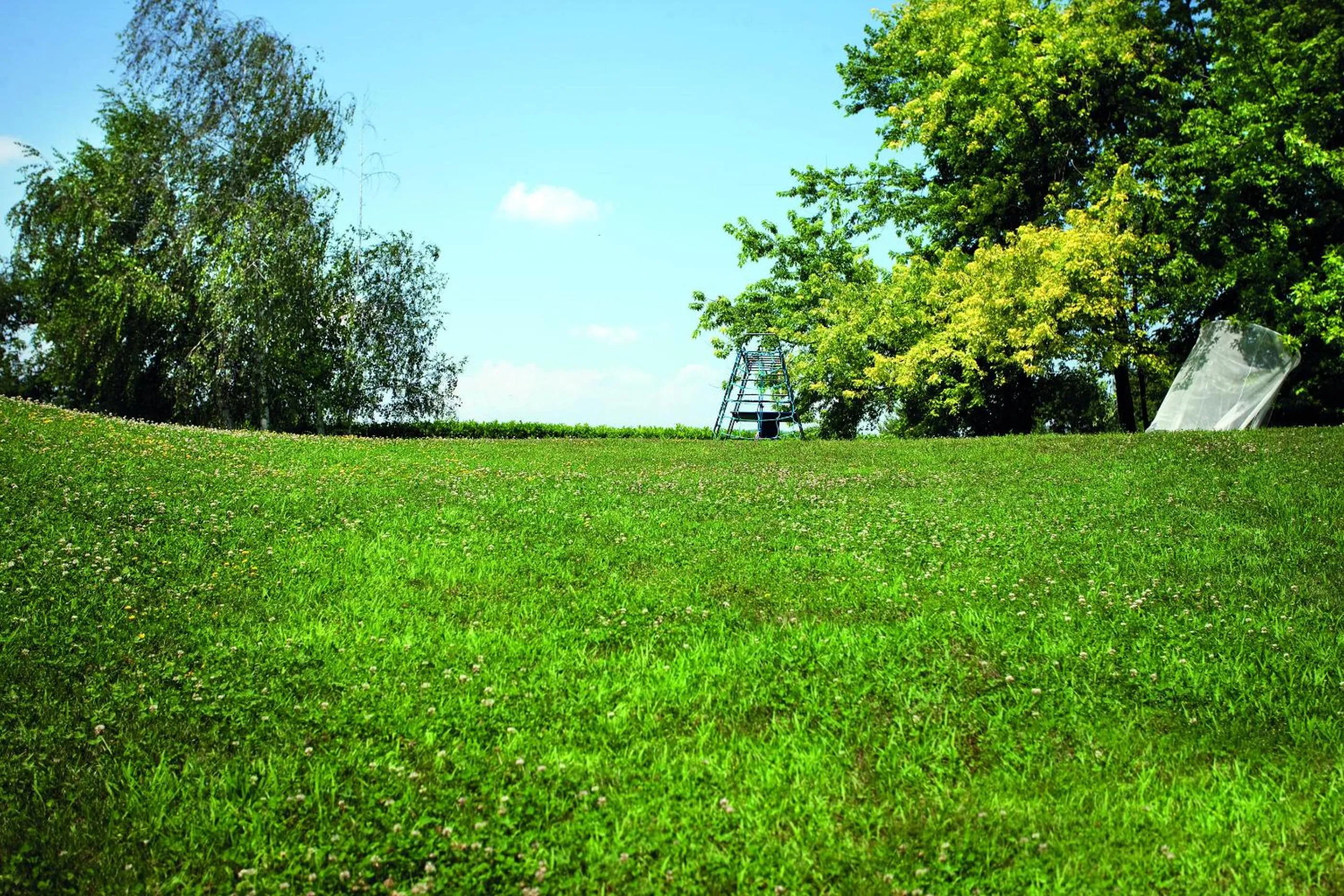 Garden in B&B Puntodivista