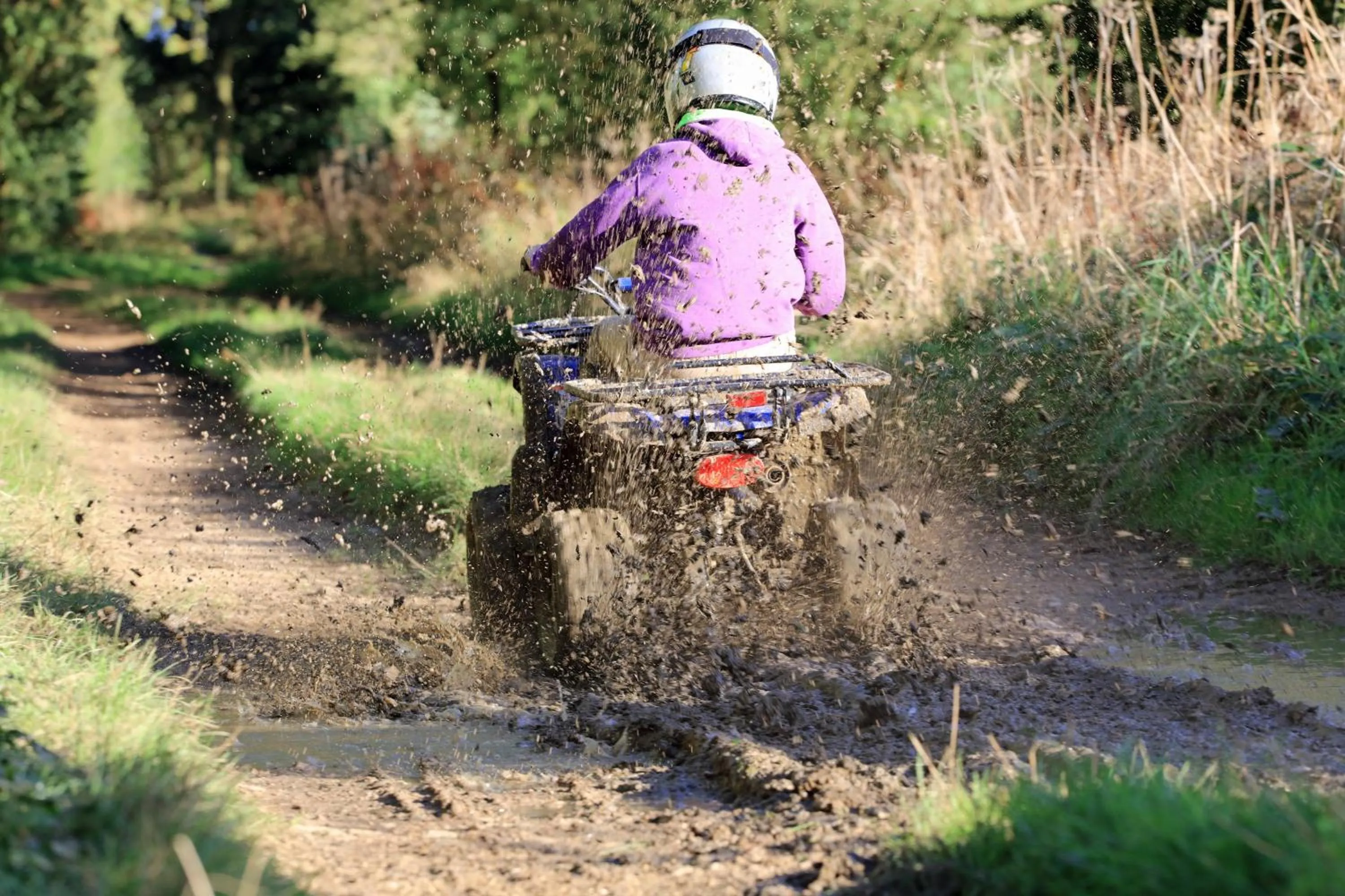 Activities in Macdonald Morlich Hotel at Macdonald Aviemore Resort