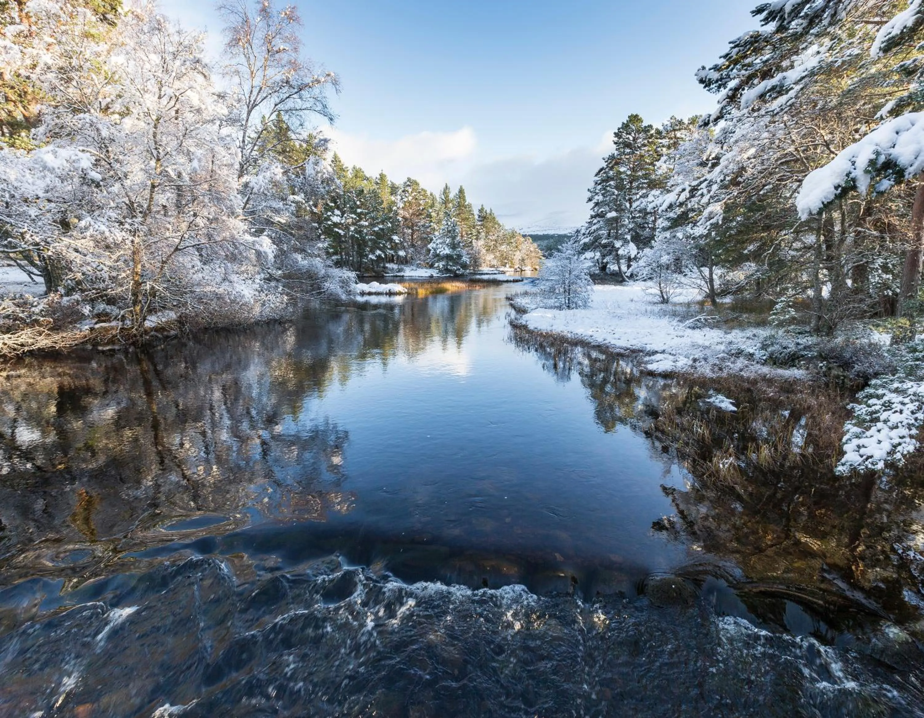 Natural landscape in Macdonald Morlich Hotel at Macdonald Aviemore Resort