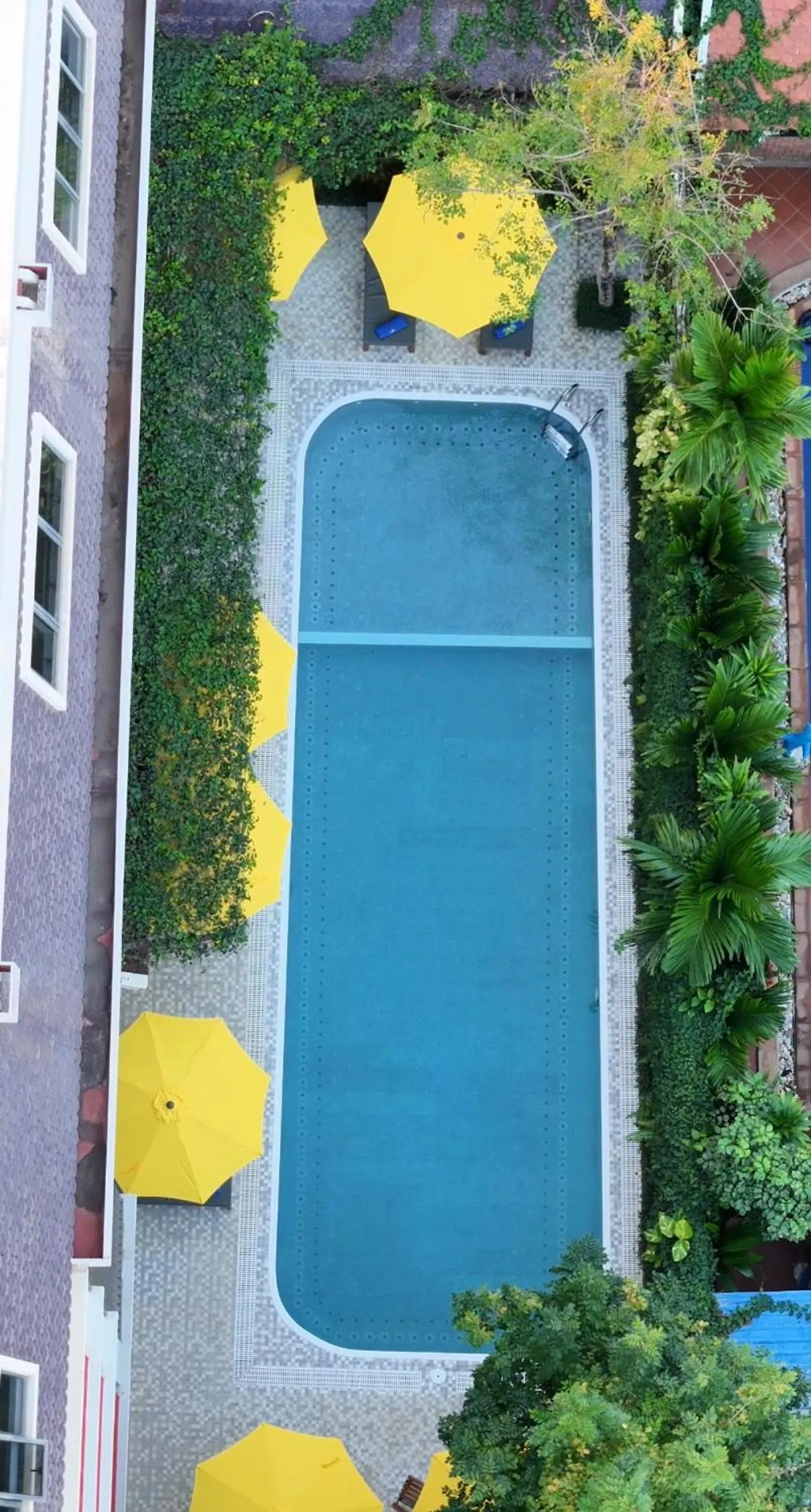 Swimming pool in Angkor Mansion & Apartment