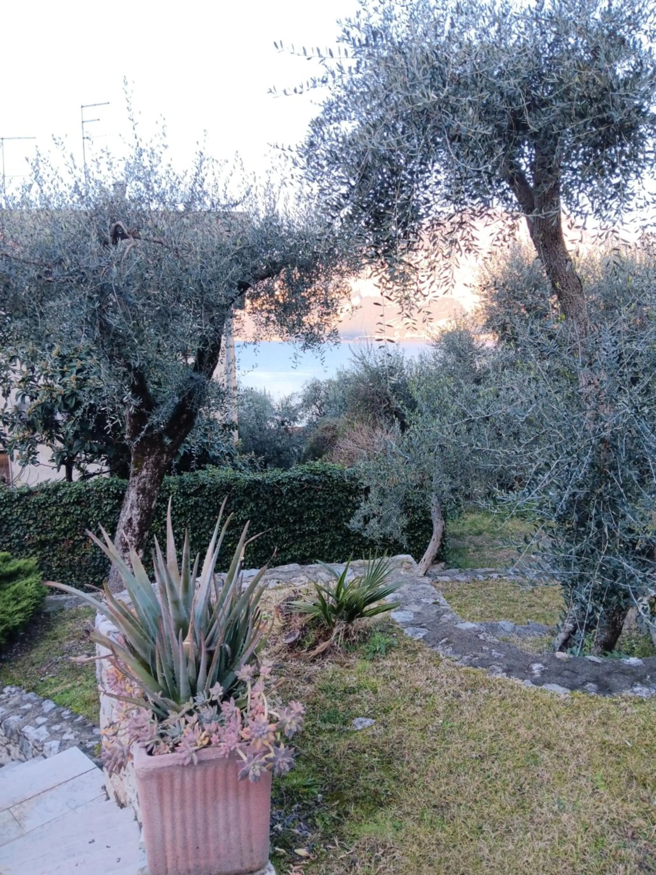 Appartamenti Albatros