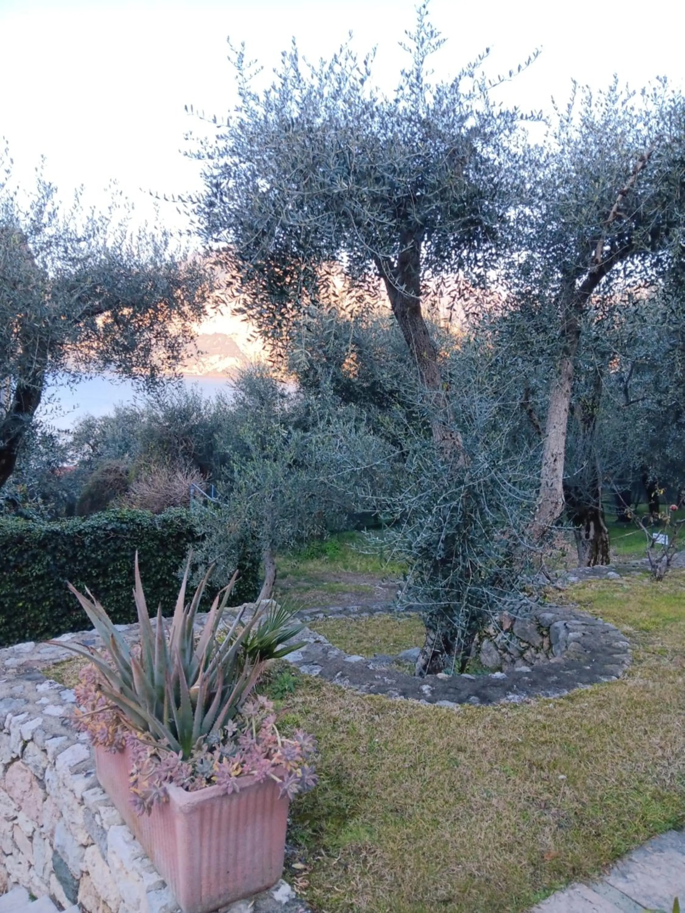 Appartamenti Albatros