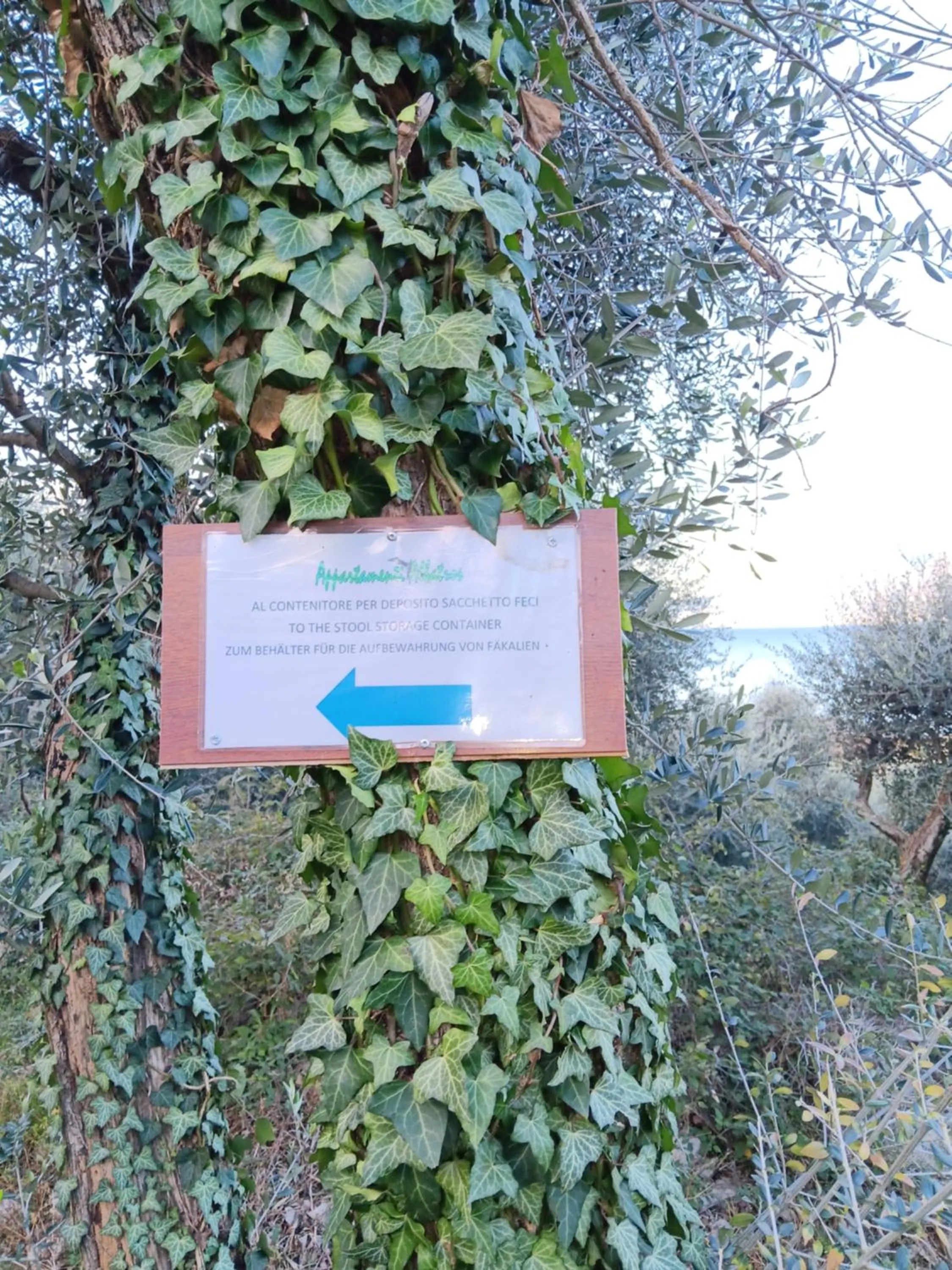 Appartamenti Albatros