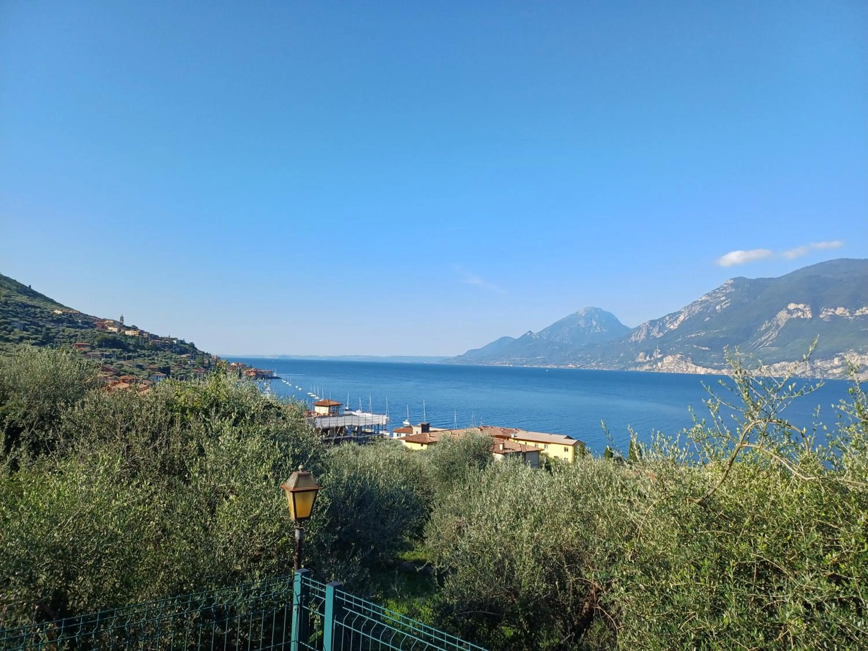 Appartamenti Albatros