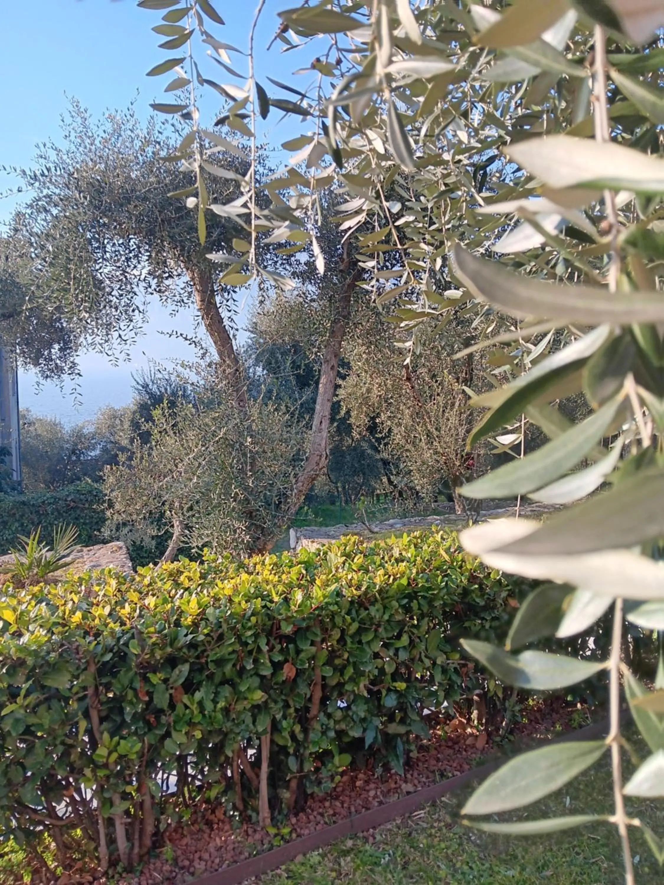Appartamenti Albatros