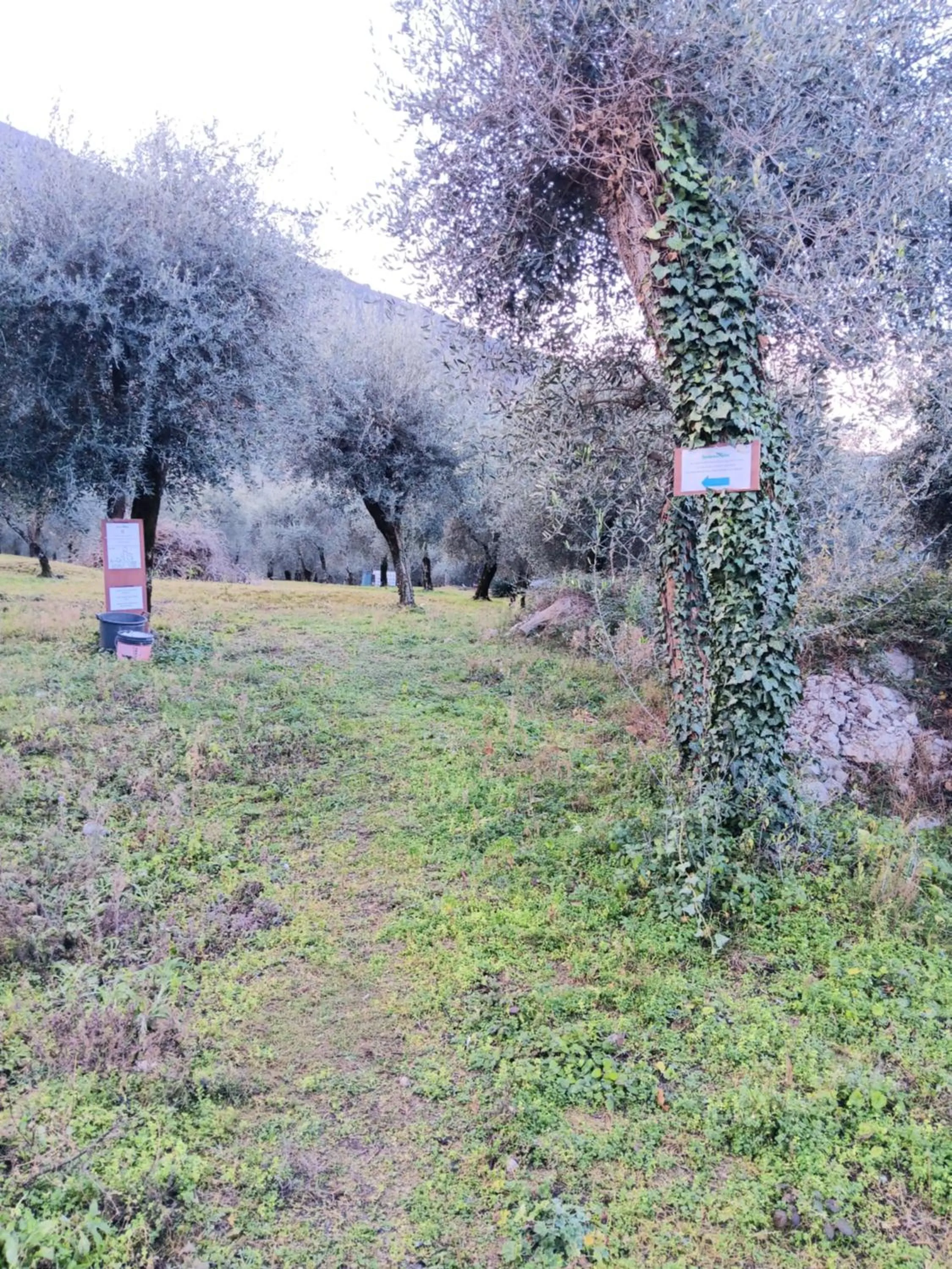 Appartamenti Albatros