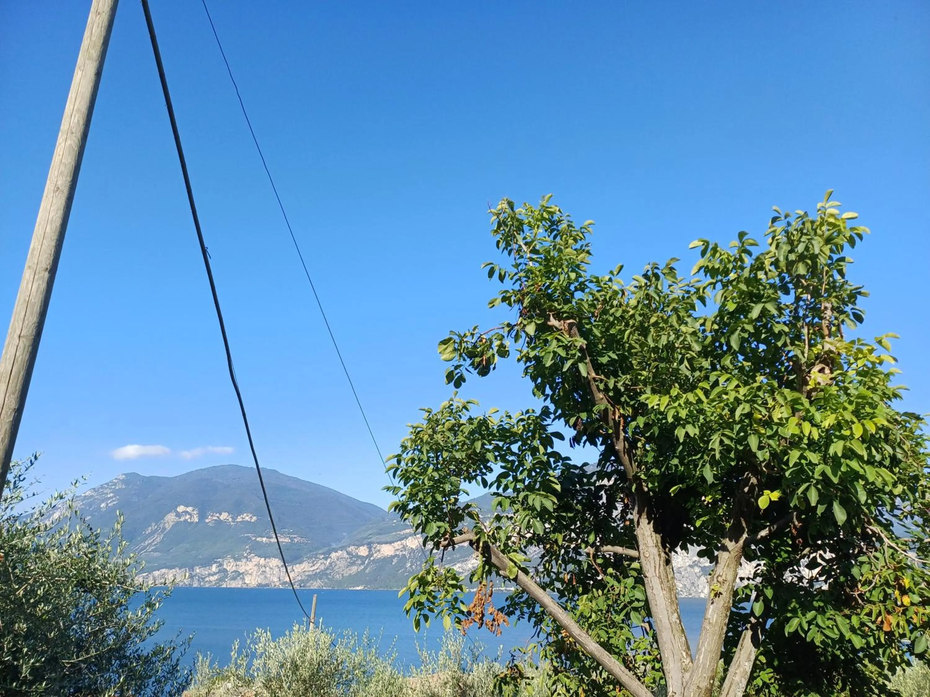 Appartamenti Albatros