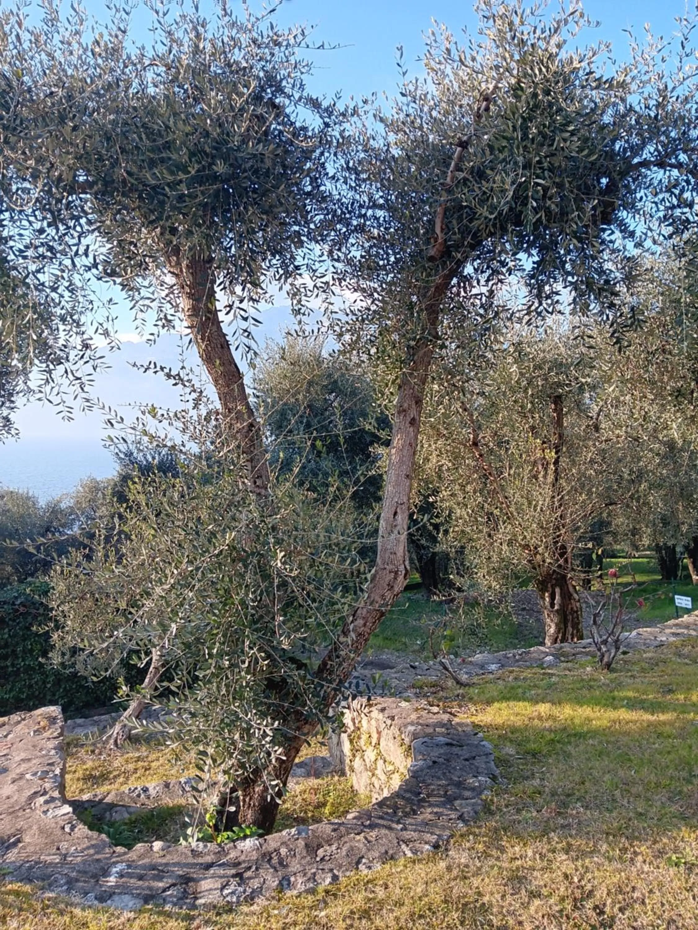 Appartamenti Albatros