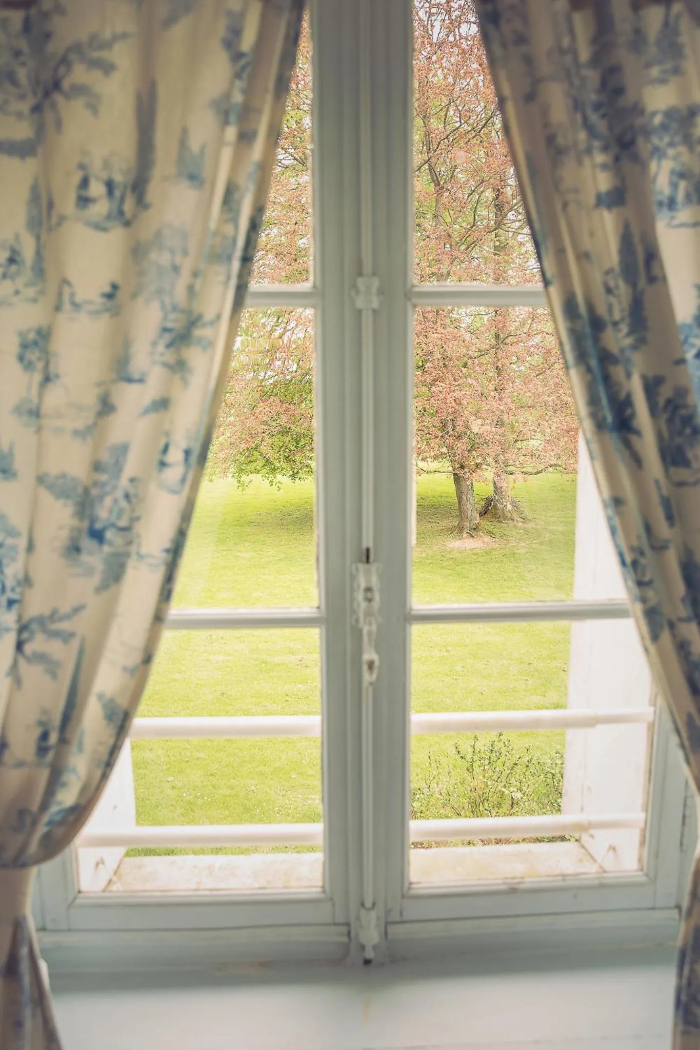 Garden view in Chateau De Grosfy
