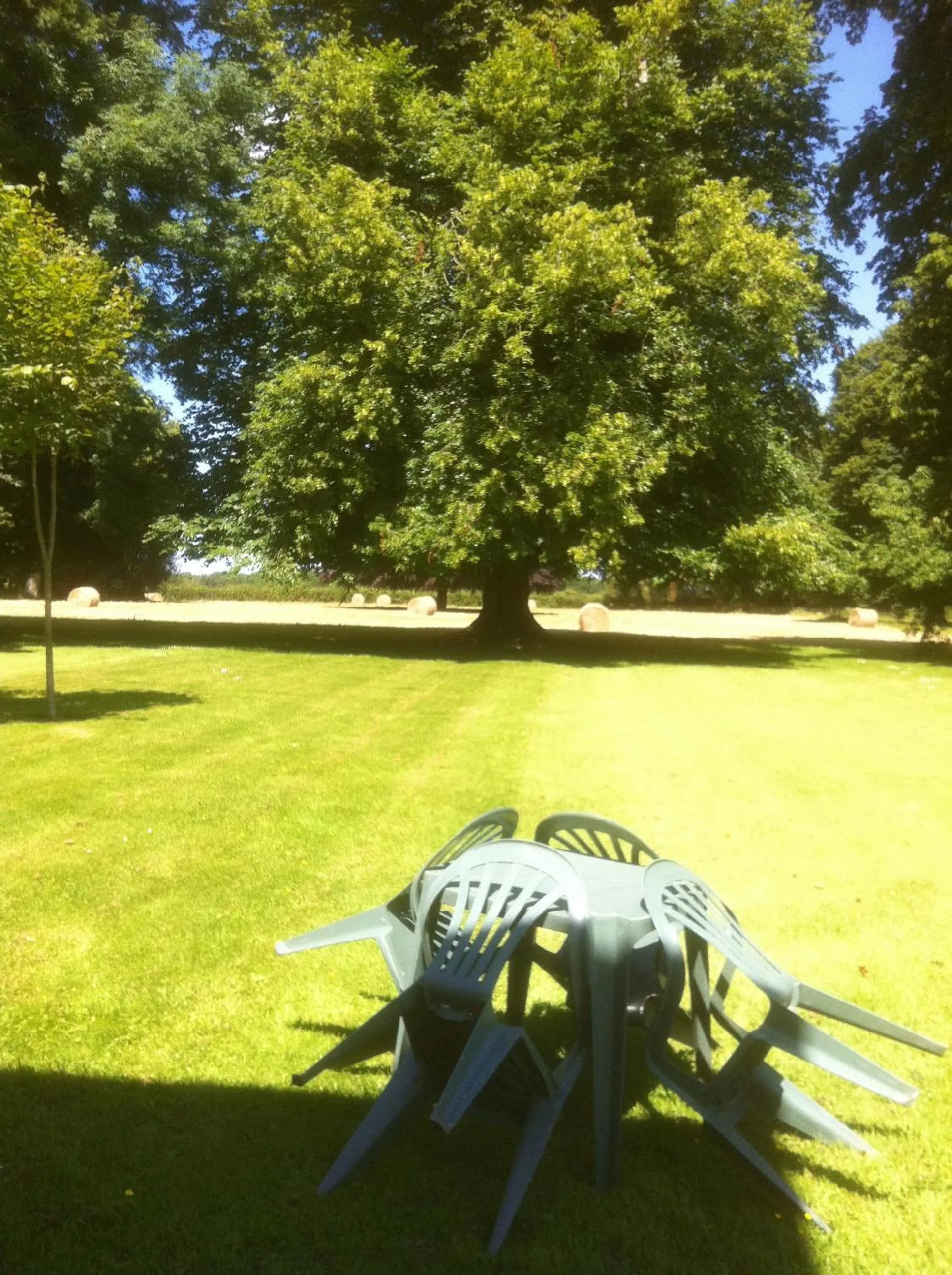 Garden in Chateau De Grosfy