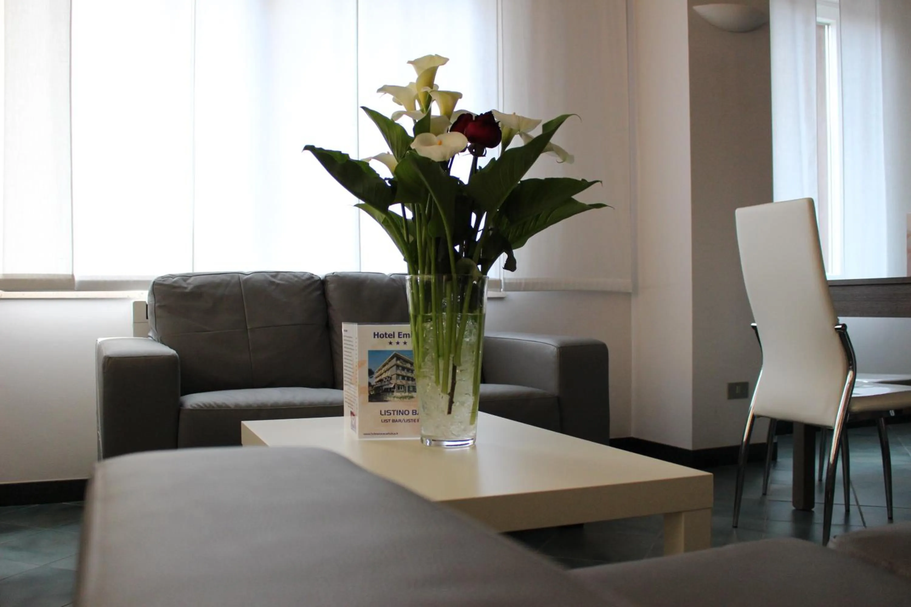 Communal lounge/ TV room in Hotel Emma