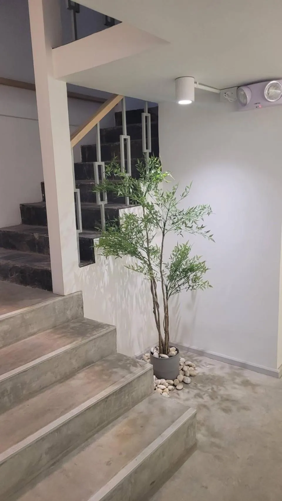 Property building in Squirrel House