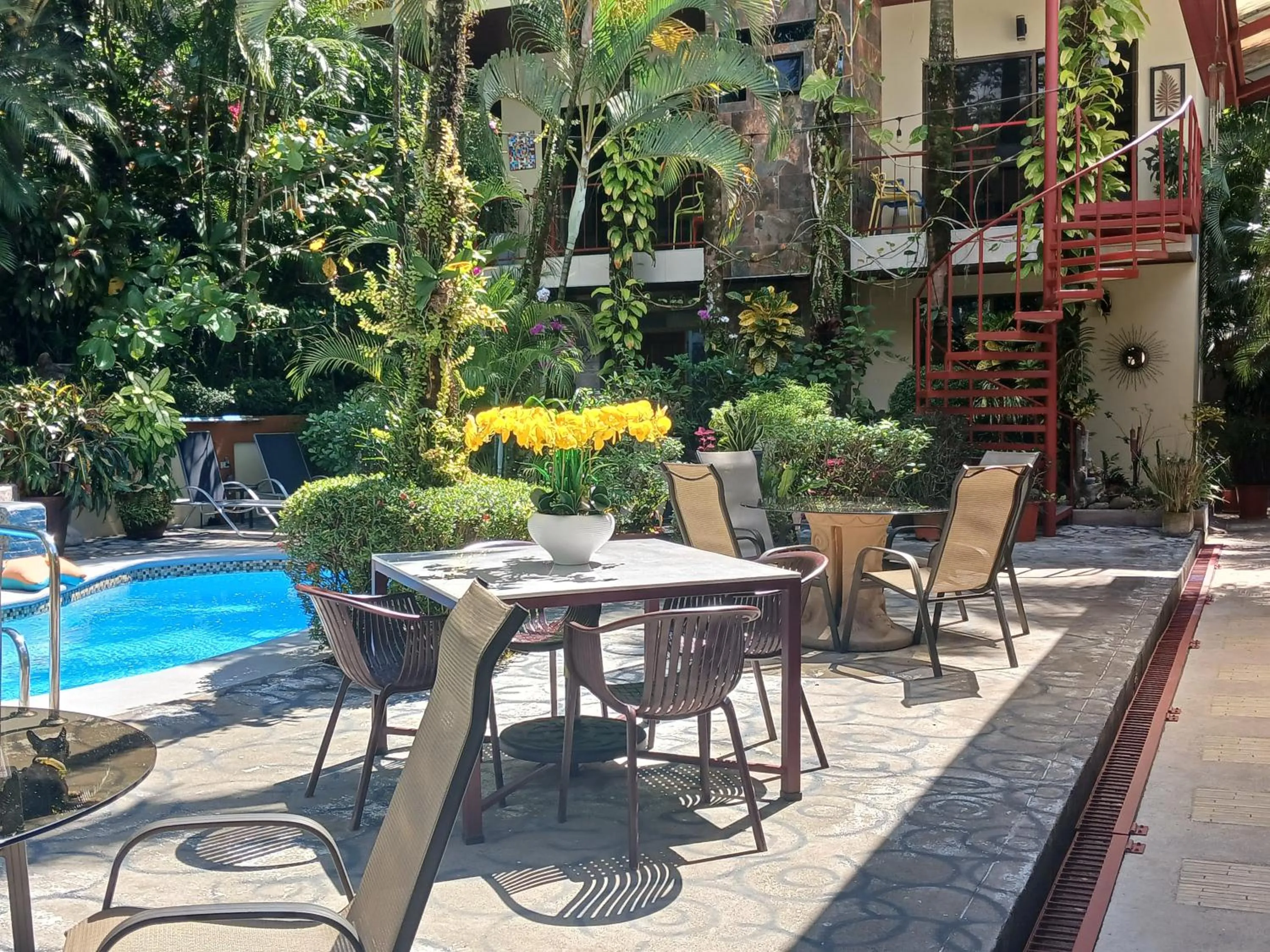 Swimming pool in Coyaba Tropical Elegant Adult Guesthouse