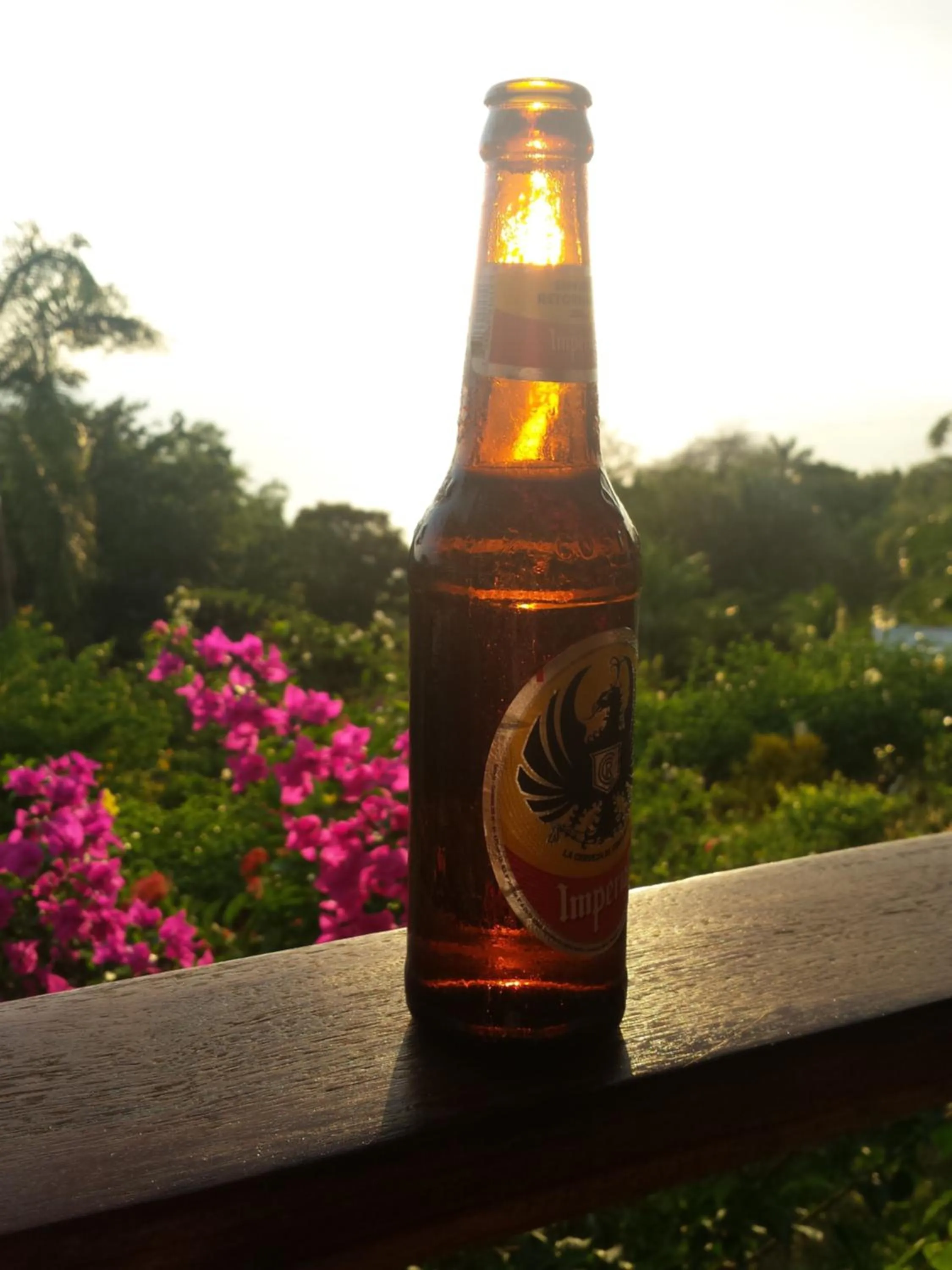 Evening entertainment in Coyaba Tropical Elegant Adult Guesthouse