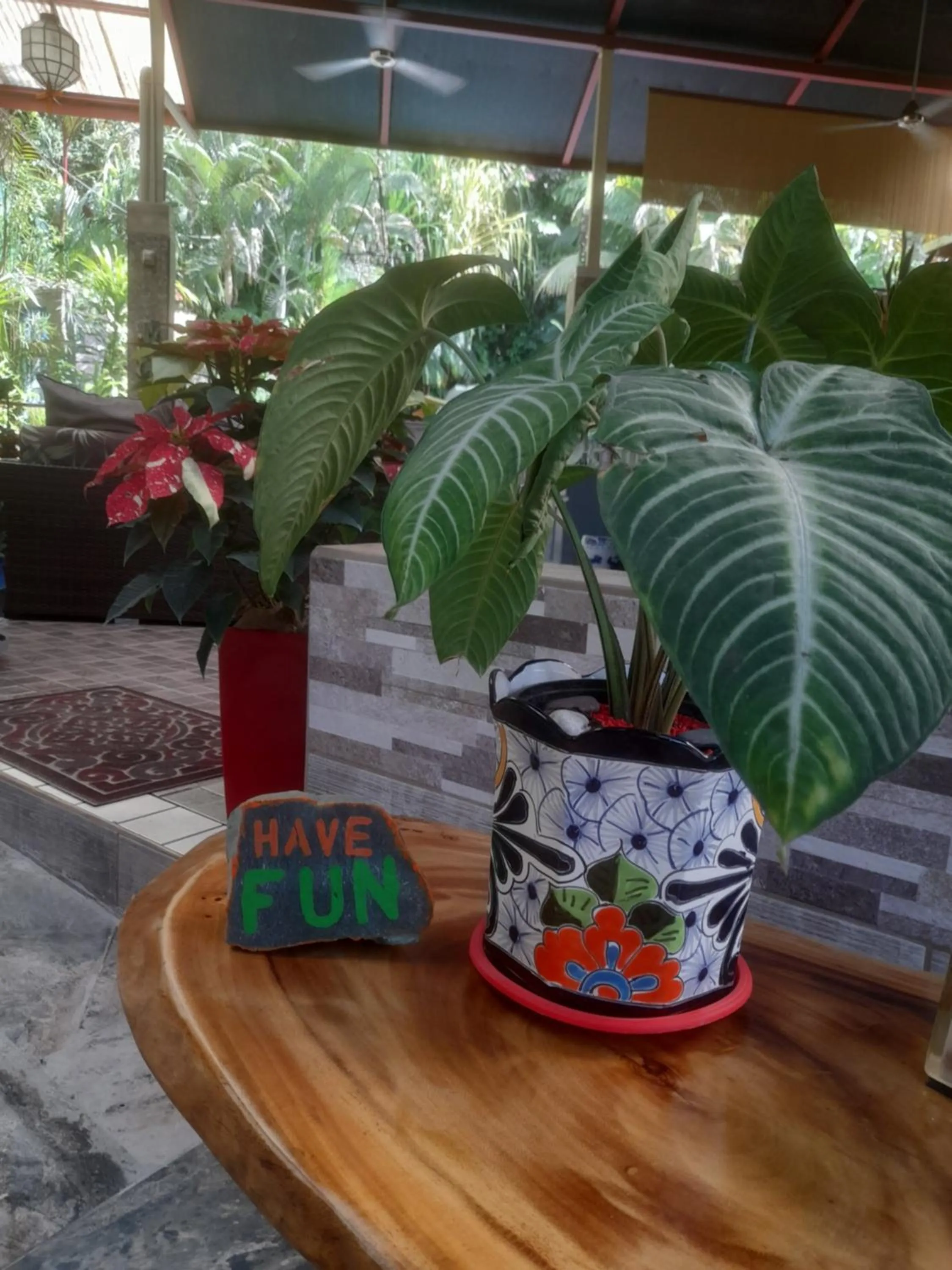 Facade/entrance in Coyaba Tropical Elegant Adult Guesthouse