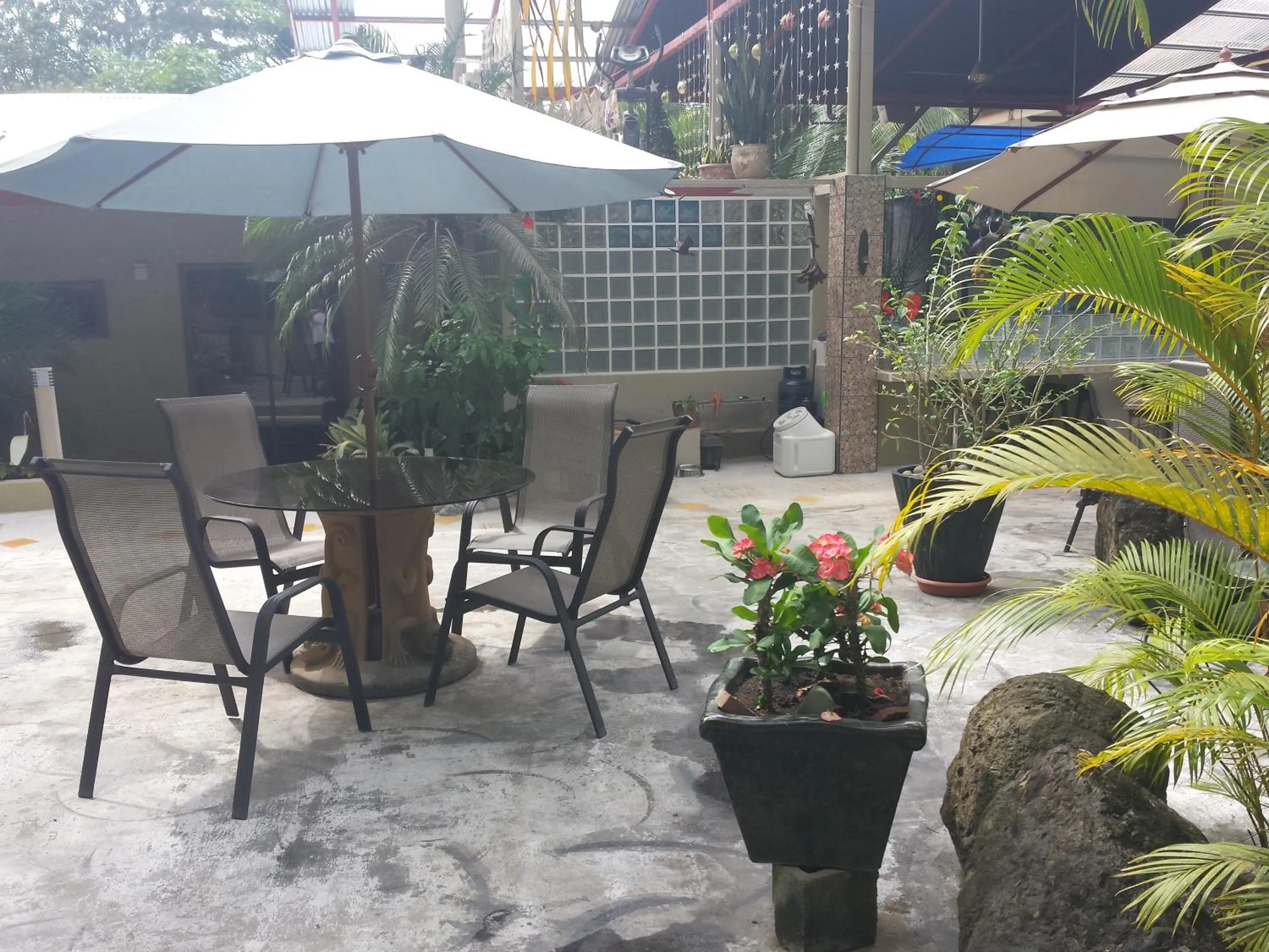 Patio in Coyaba Tropical Elegant Adult Guesthouse