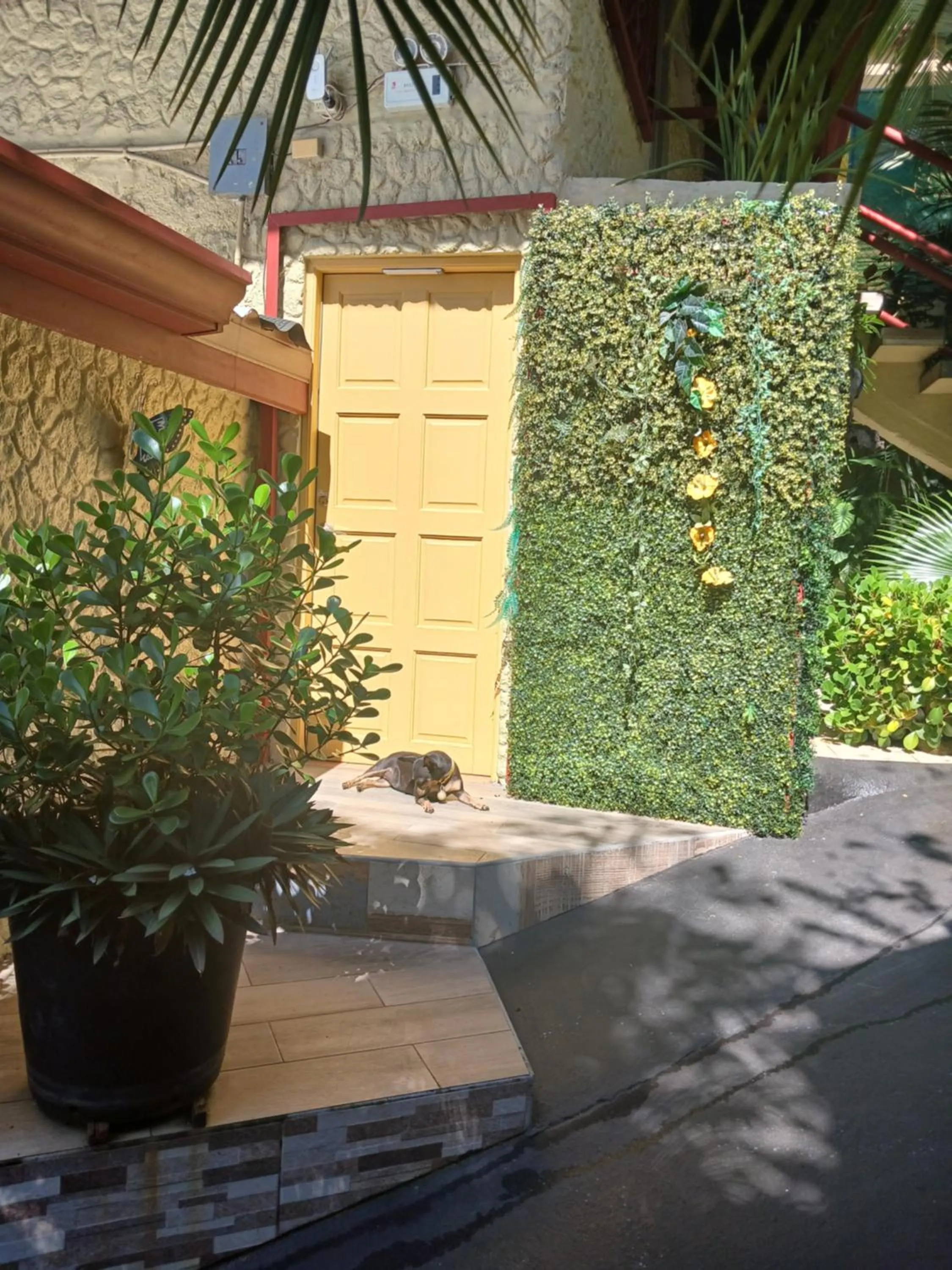 Facade/entrance in Coyaba Tropical Elegant Adult Guesthouse