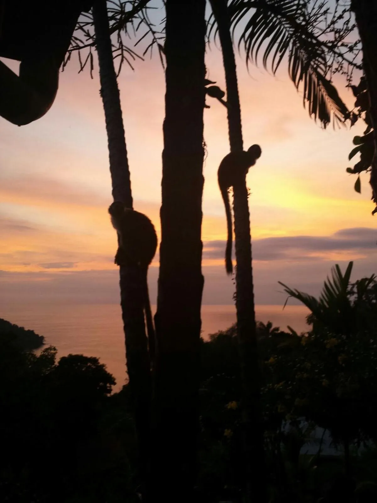 Off site in Coyaba Tropical Elegant Adult Guesthouse