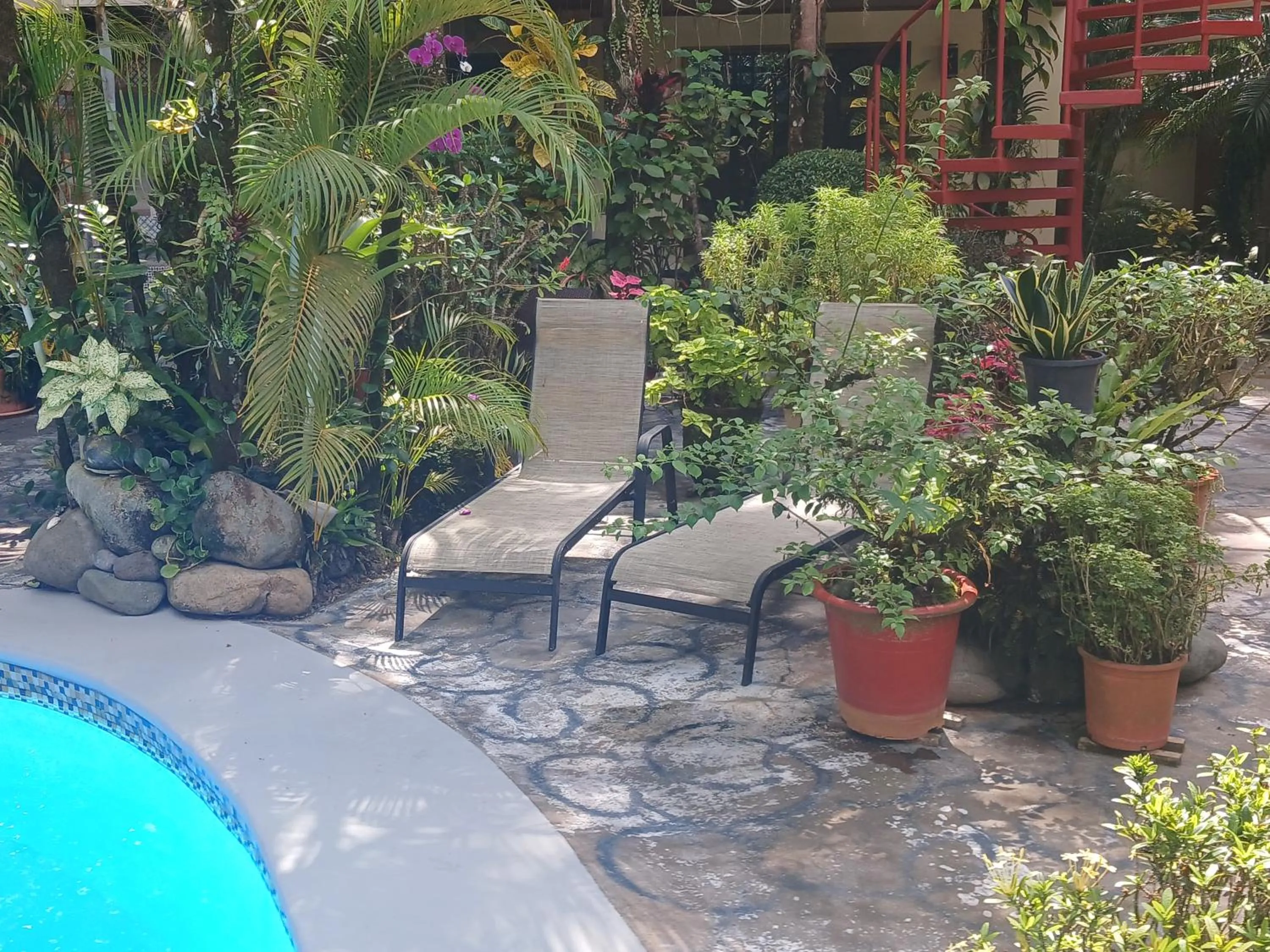 Swimming pool in Coyaba Tropical Elegant Adult Guesthouse