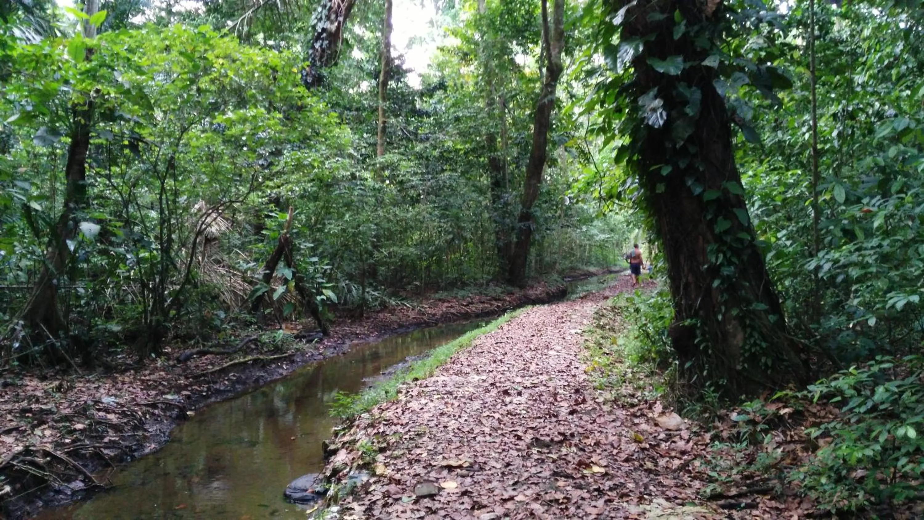 Hiking in Lirio Lodge