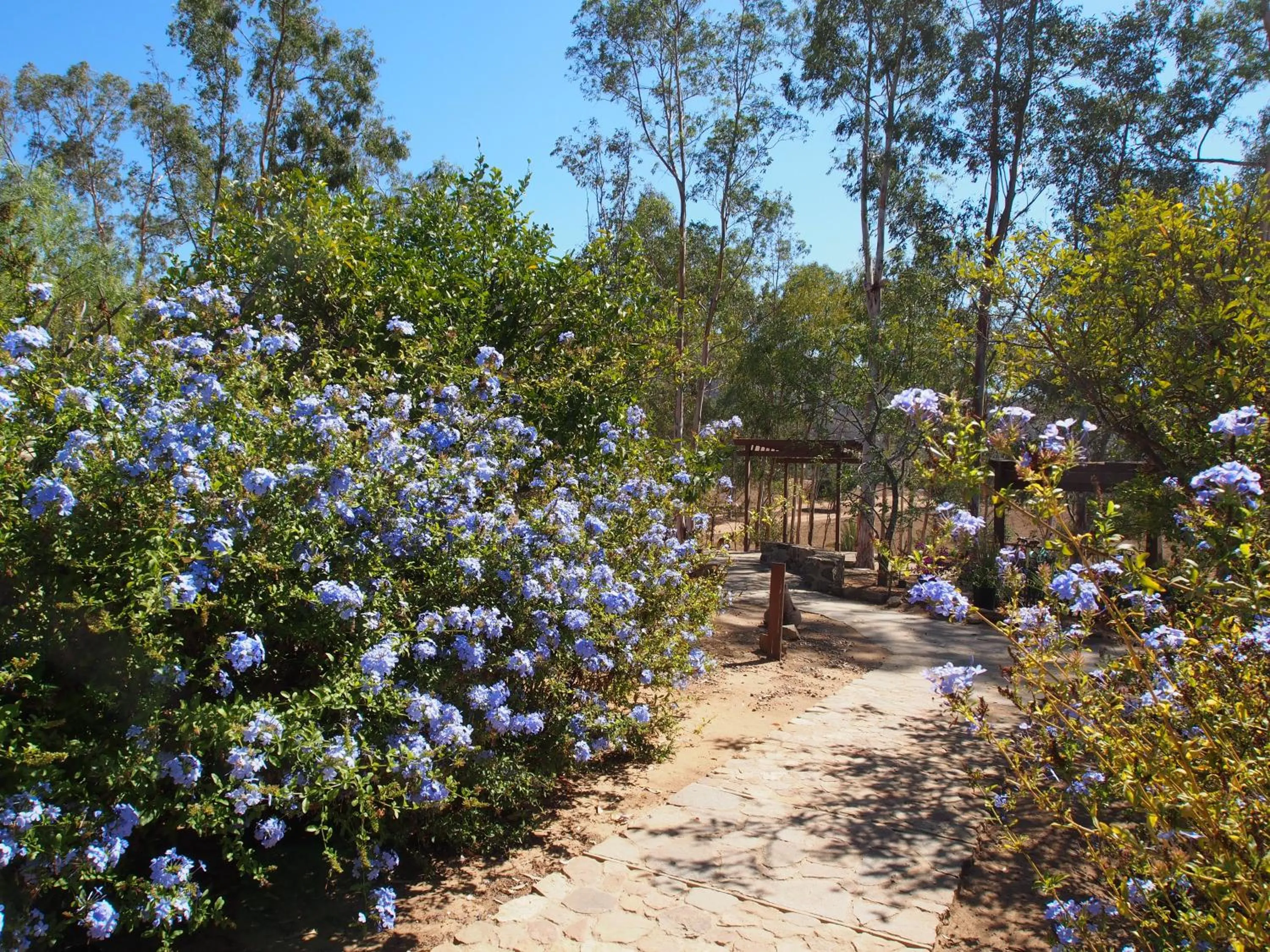 Patio in Casa Mayoral B&B Pet friendly