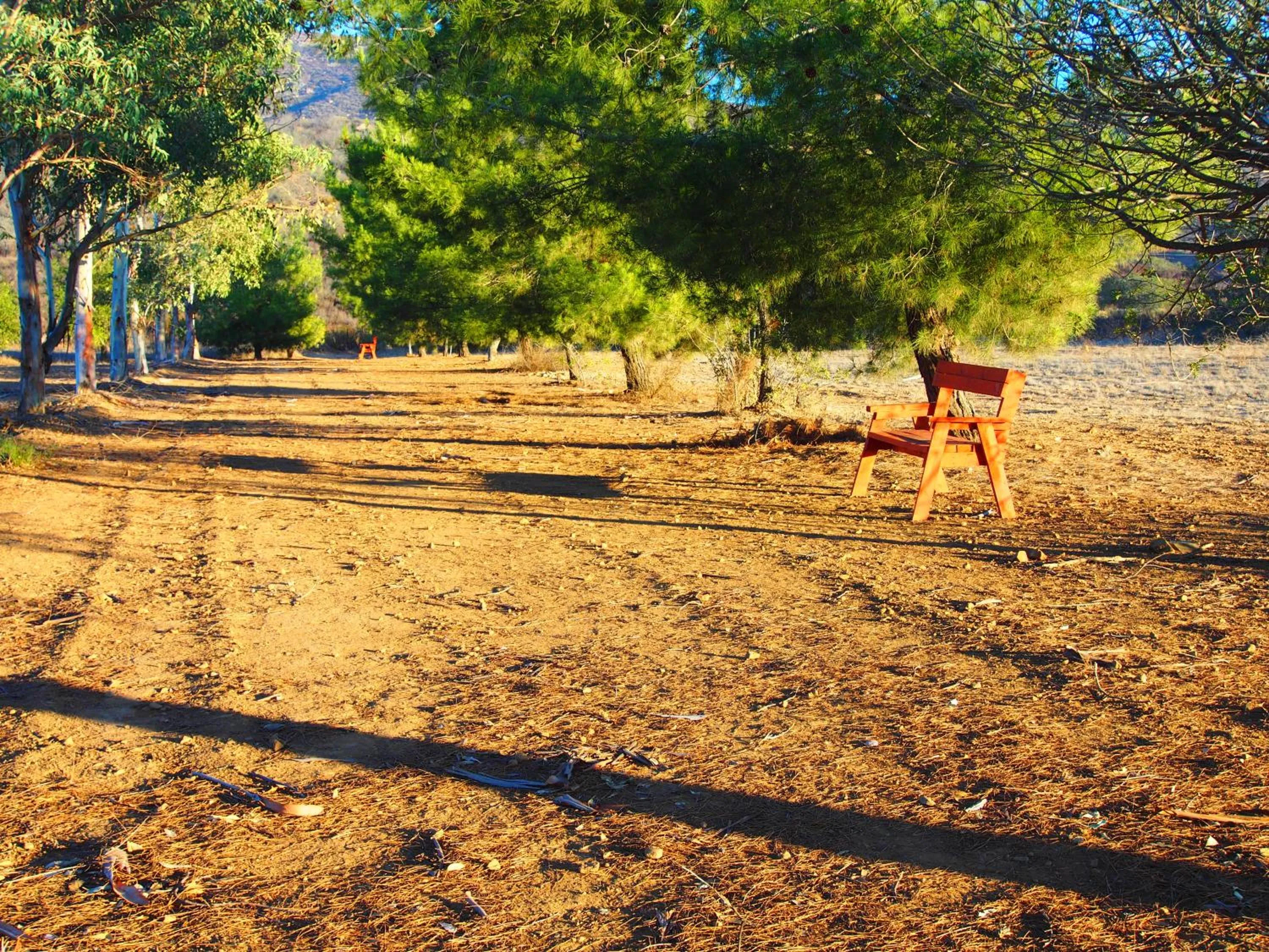 Day in Casa Mayoral B&B Pet friendly