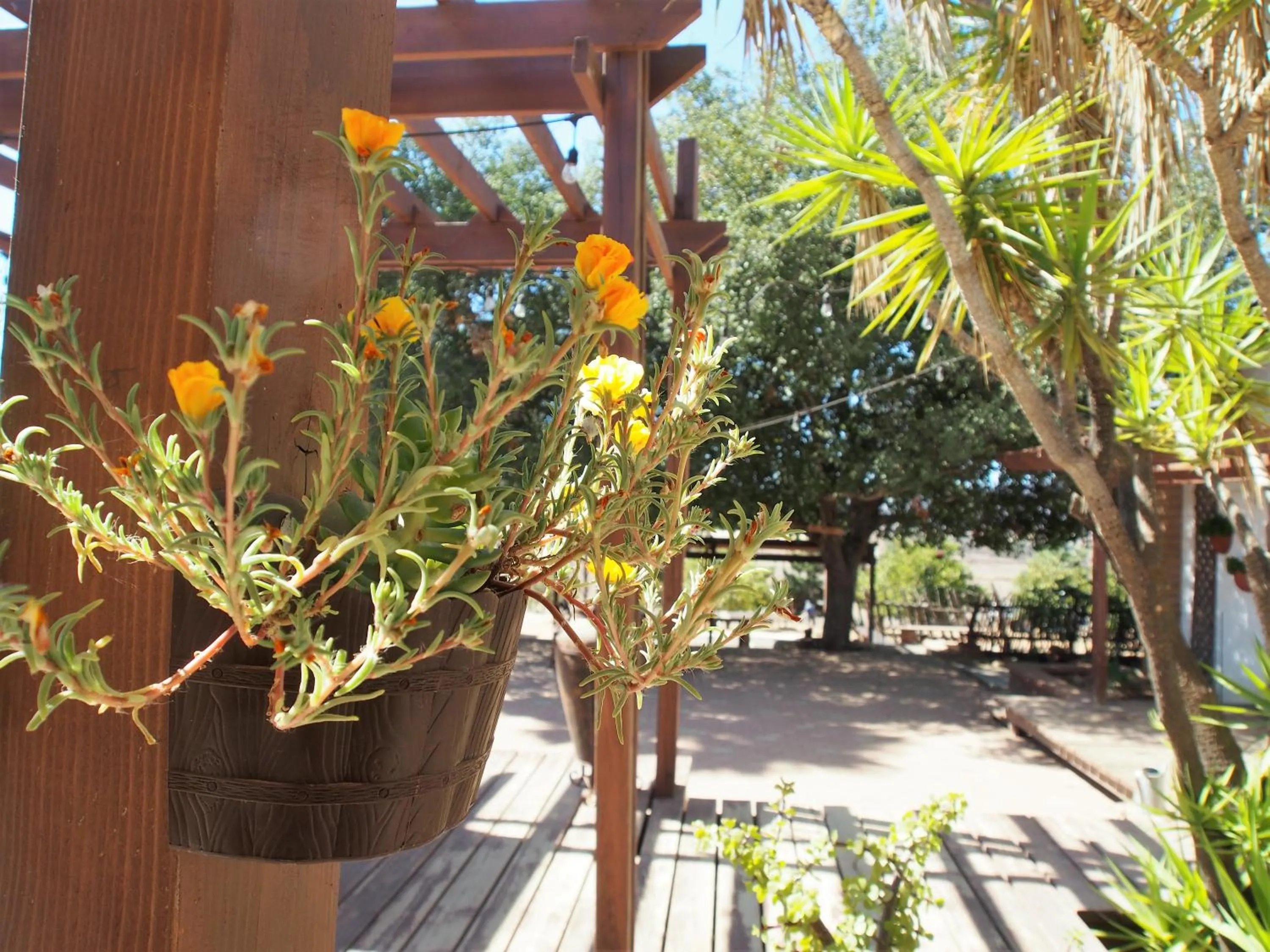 Area and facilities in Casa Mayoral B&B Pet friendly