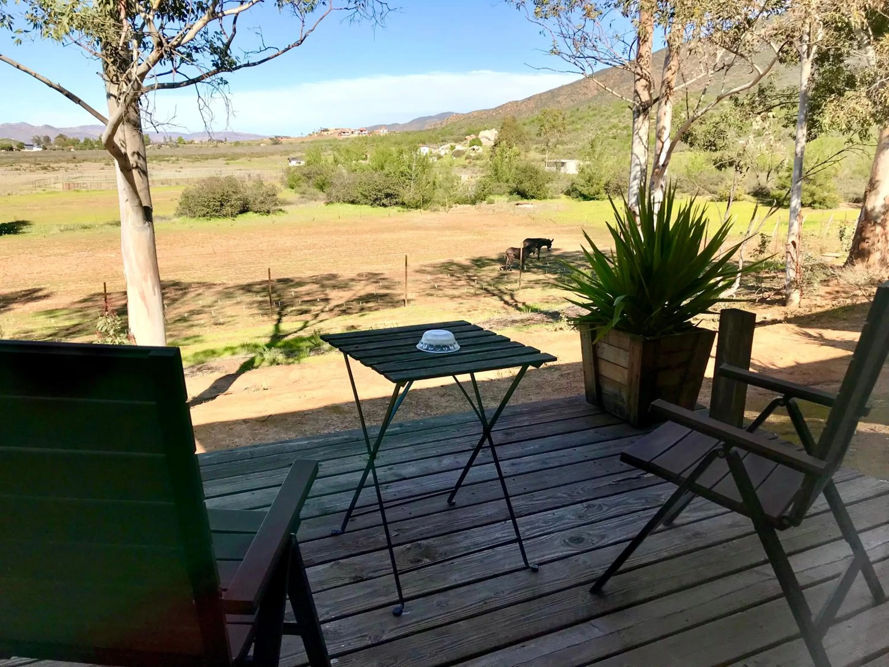 Balcony/Terrace in Casa Mayoral B&B Pet friendly