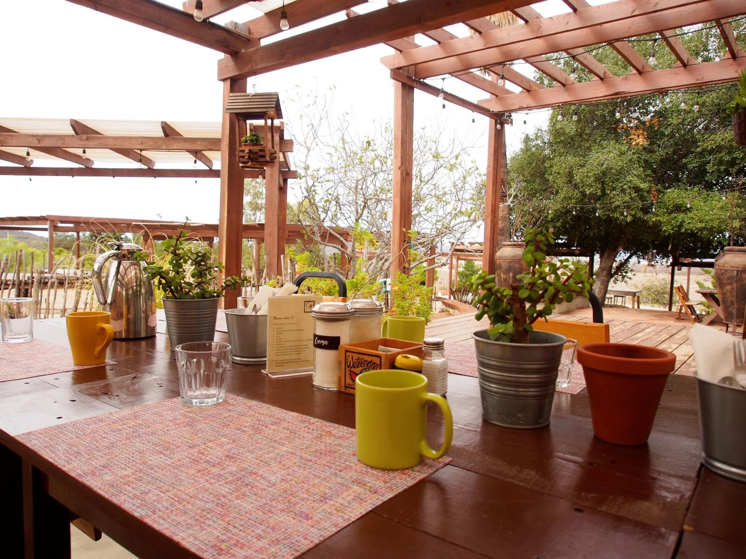 Garden in Casa Mayoral B&B Pet friendly