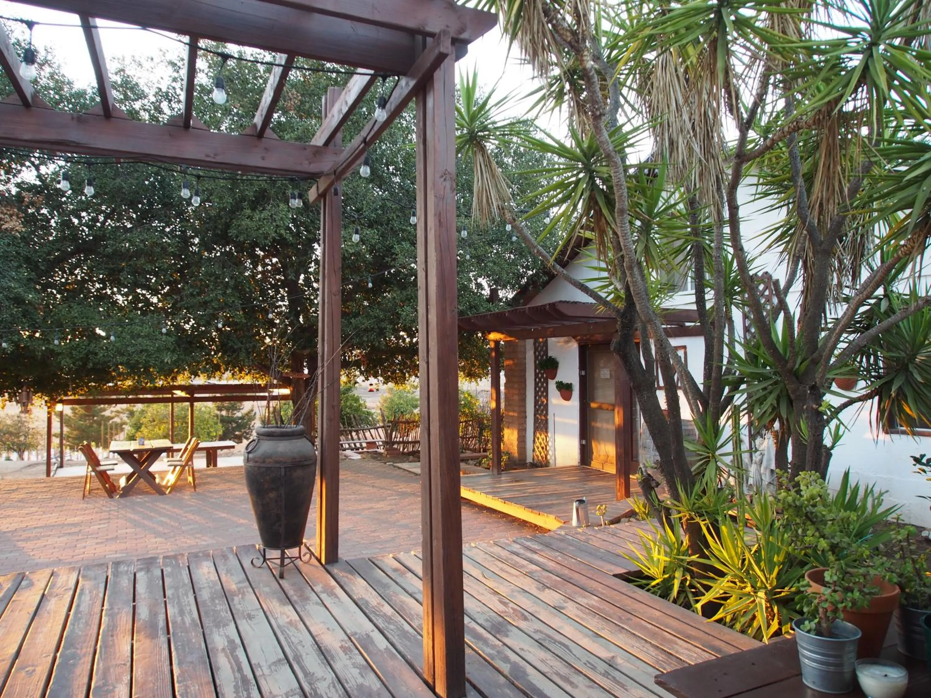 Patio in Casa Mayoral B&B Pet friendly