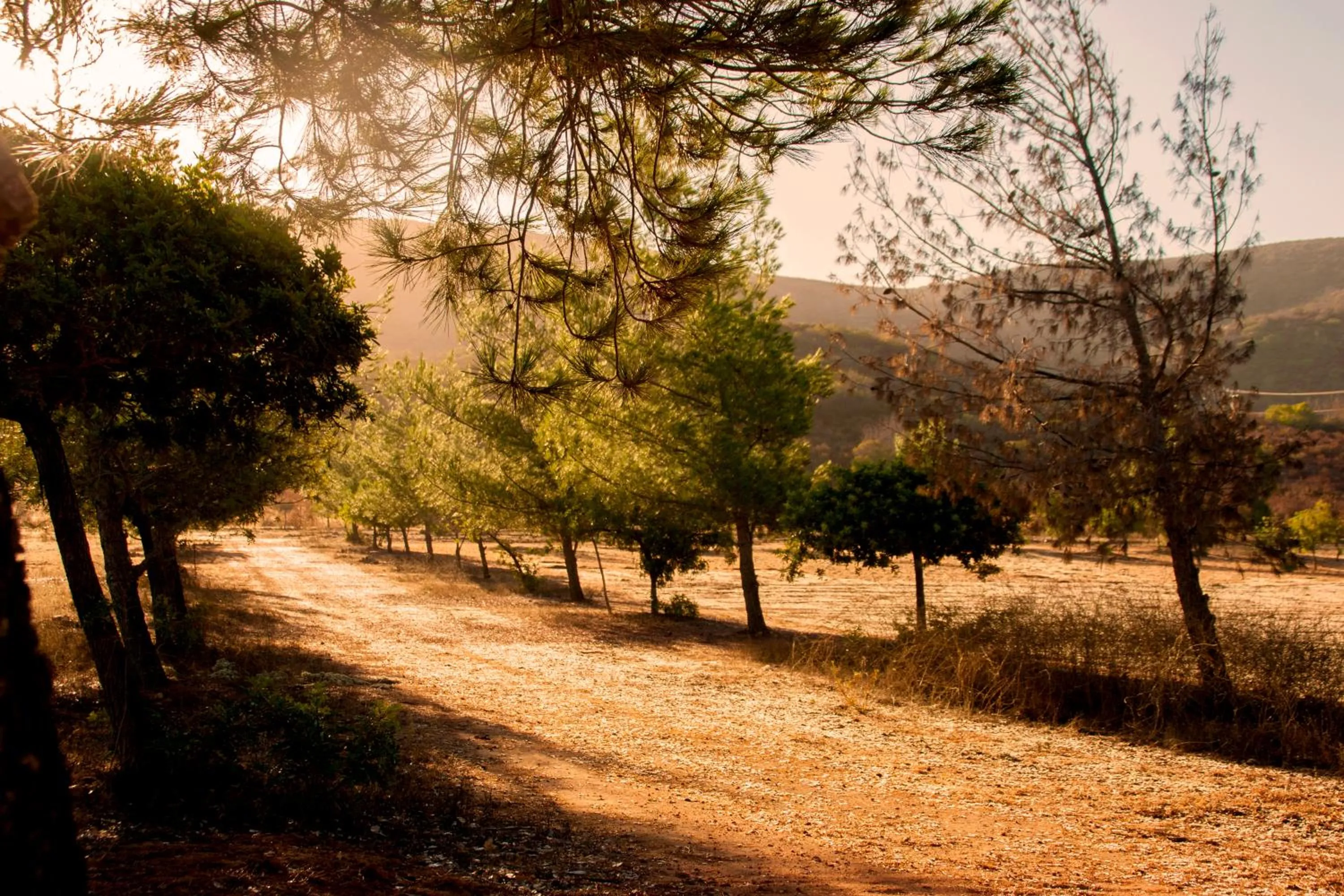 Natural landscape in Casa Mayoral B&B Pet friendly