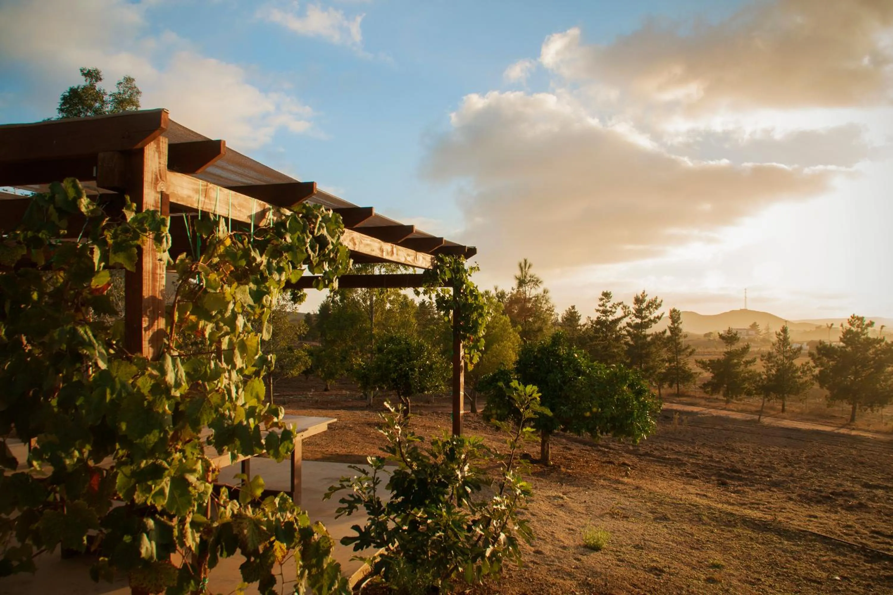 View (from property/room) in Casa Mayoral B&B Pet friendly