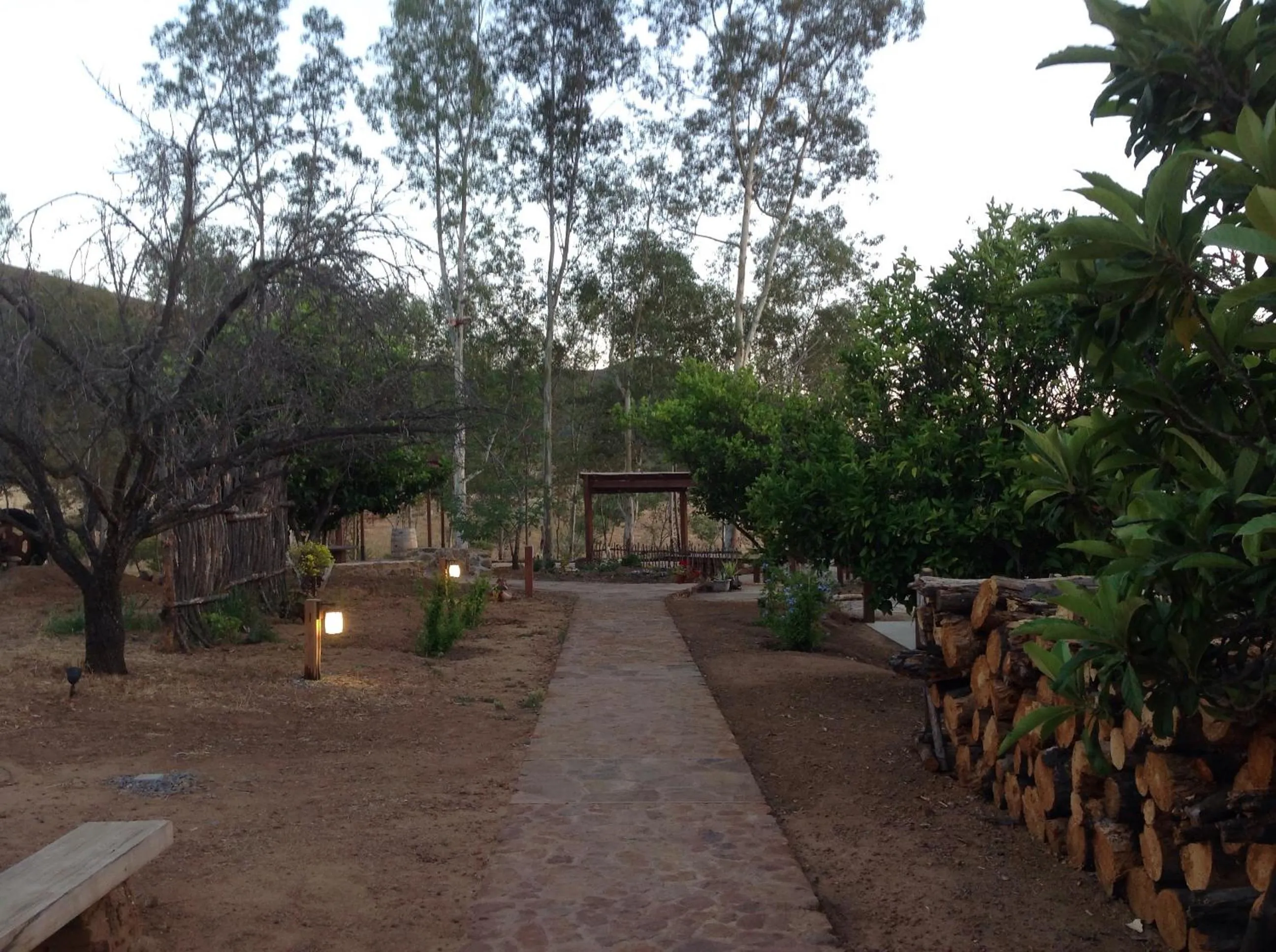 Garden in Casa Mayoral B&B Pet friendly