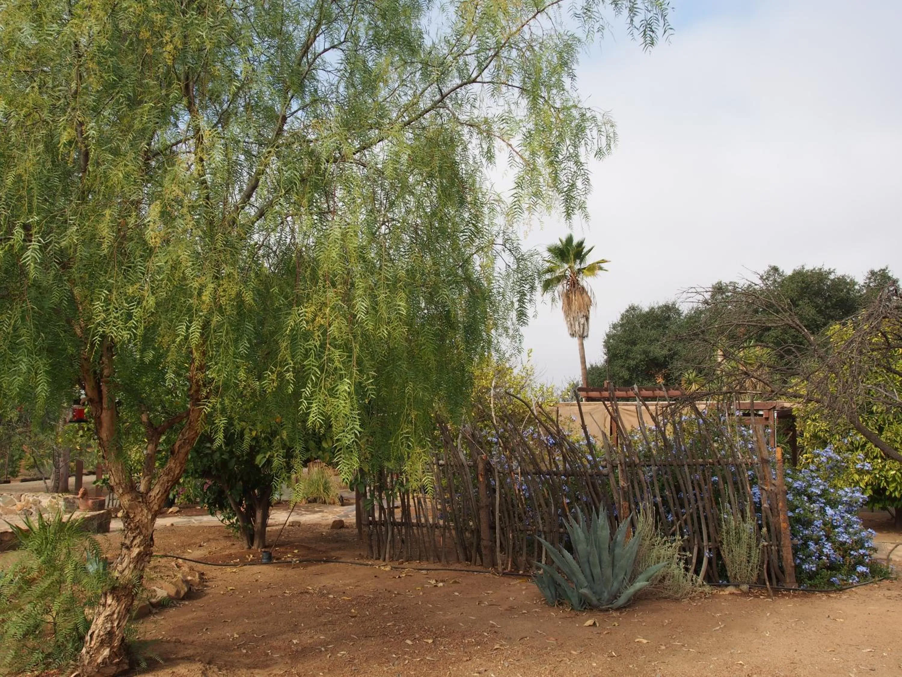 Garden in Casa Mayoral B&B Pet friendly