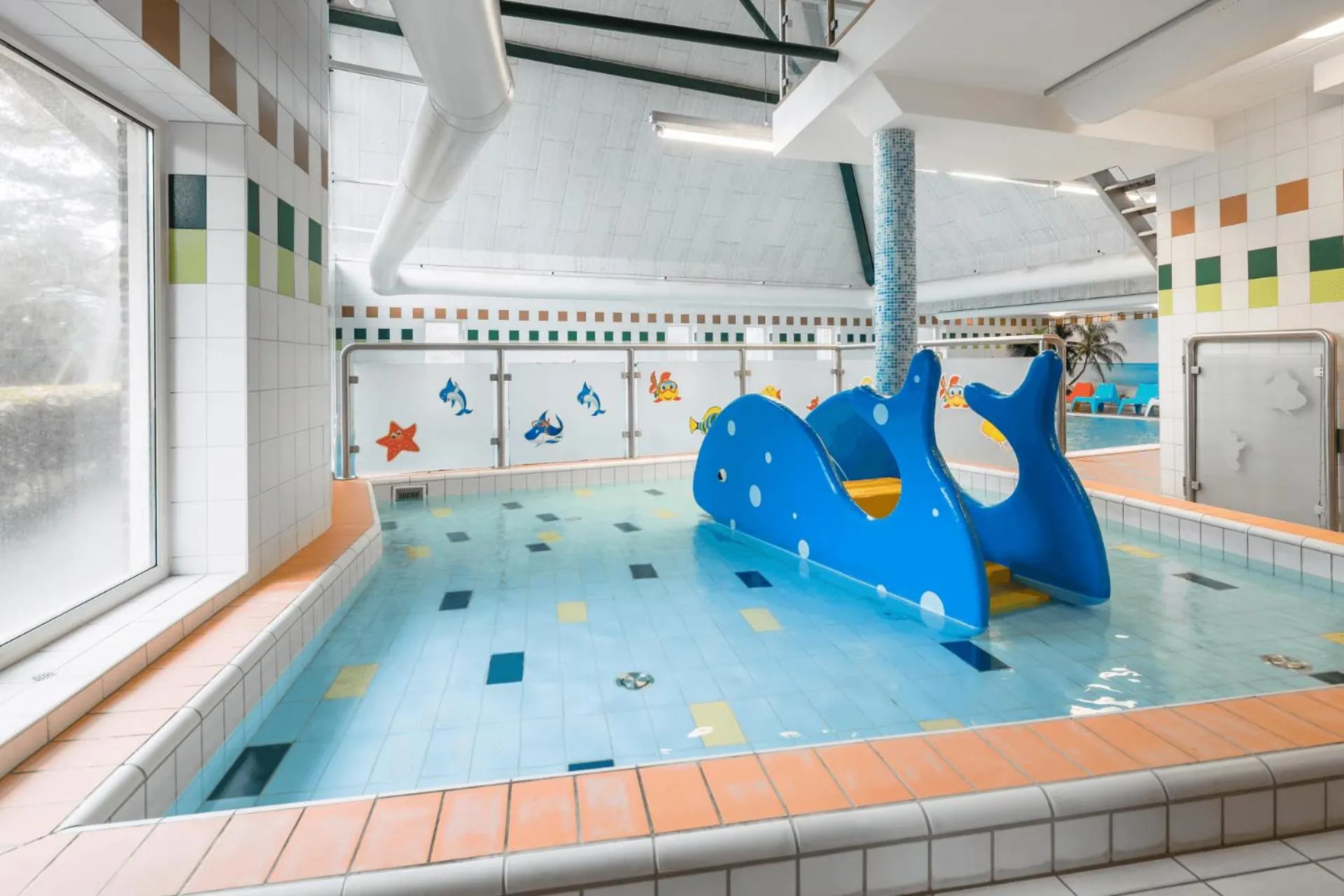 Swimming pool in Landgoed Het Grote Zand